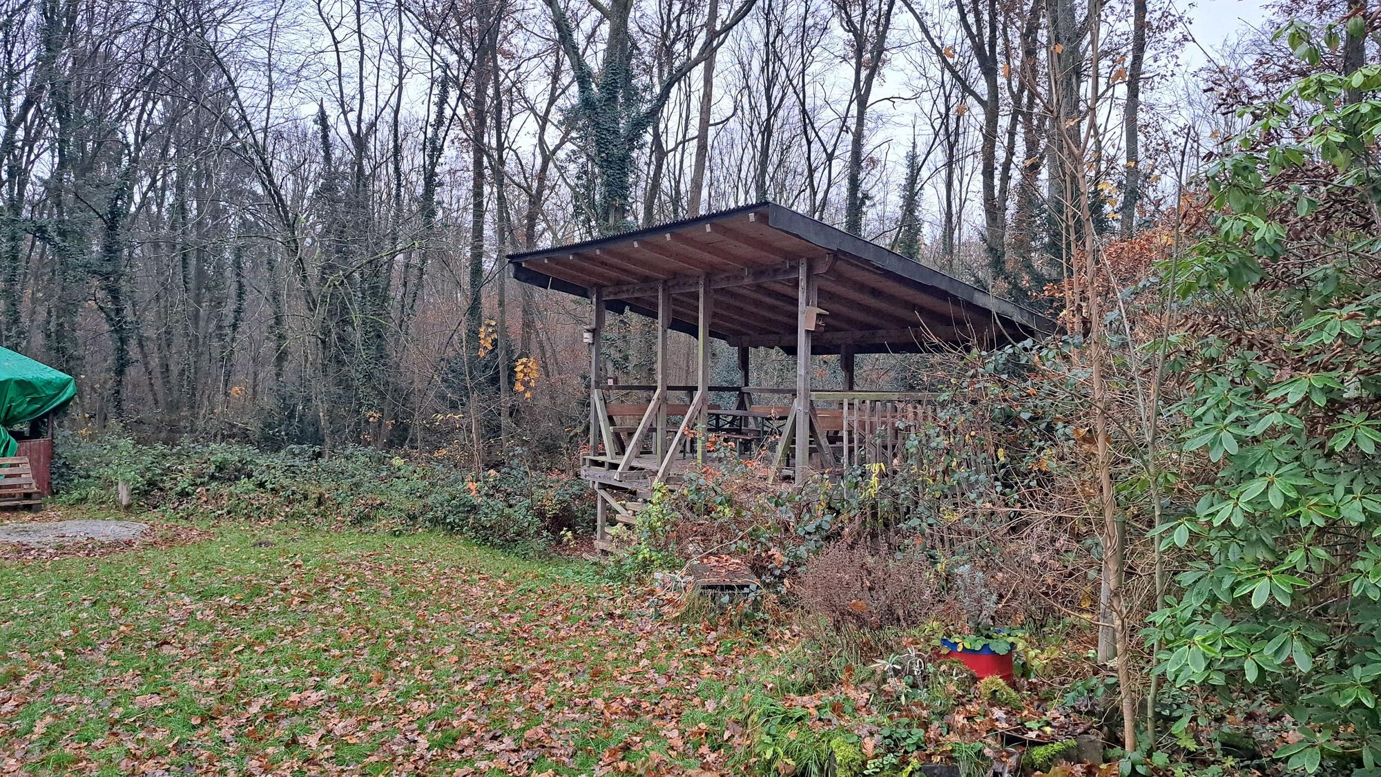 Ein Wiese und ein angrenzender Wald an dem eine Holzveranda steht