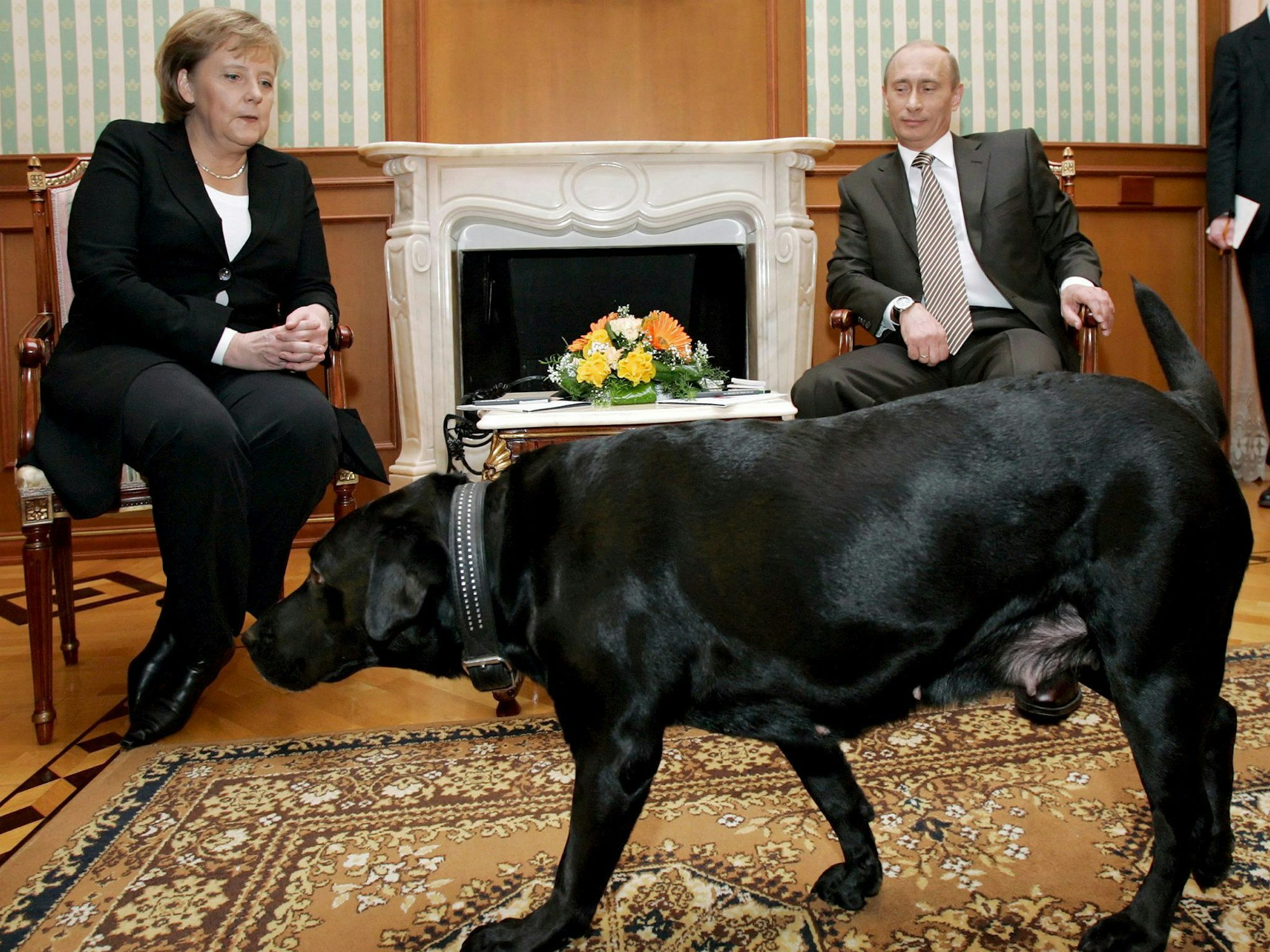 Während Angela Merkel ihre Angst vor Hunden überspielt, zeigt sich Wladimir Putin amüsiert. (Archivbild)