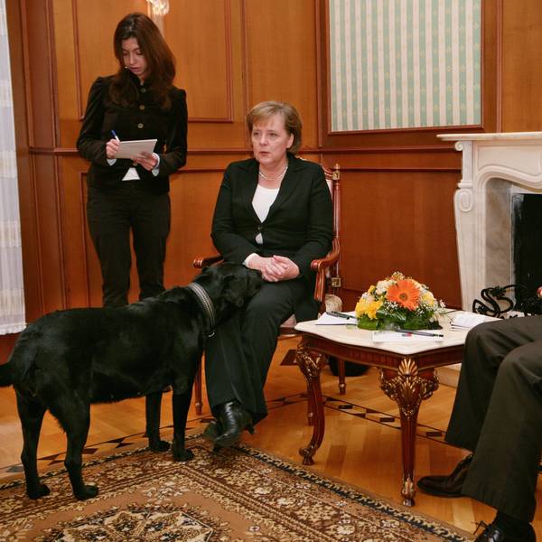 Die damalige Bundeskanzlerin Angela Merkel (CDU) fühlte sich bei einem Treffen 2007 in Sotschi in Anwesenheit von Putins Hund Koni sichtlich unwohl. (Archivbild)