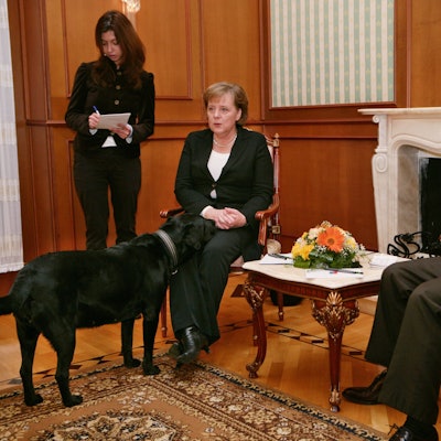 Die damalige Bundeskanzlerin Angela Merkel (CDU) fühlte sich bei einem Treffen 2007 in Sotschi in Anwesenheit von Putins Hund Koni sichtlich unwohl. (Archivbild)