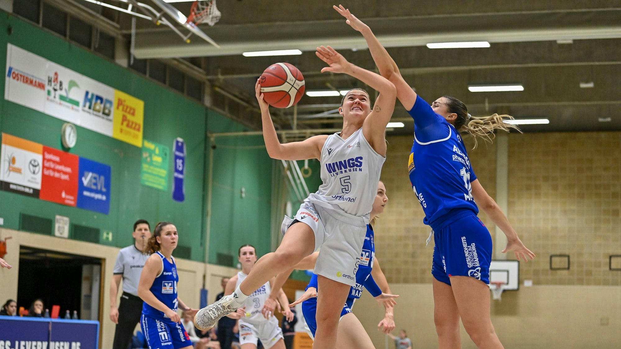 1. Damen Basketball Bundesliga: Orthomol WINGS Leverkusen vs. BC Pharmaserv Marburg, 01.12.2024 Ligita Tamutyte Orthomol WINGS Leverkusen 5, 1. Damen Basketball Bundesliga: Orthomol WINGS Leverkusen vs. BC Pharmaserv Marburg am 01.12.2024 in der Sporthalle Werner-Heisenberg-Gymnasium in Opladen Nordrhein-Westfalen *** 1 Womens Basketball Bundesliga Orthomol WINGS Leverkusen vs BC Pharmaserv Marburg, 01 12 2024 Ligita Tamutyte Orthomol WINGS Leverkusen 5 , 1 Womens Basketball Bundesliga Orthomol WINGS Leverkusen vs BC Pharmaserv Marburg on 01 12 2024 in the sports hall Werner Heisenberg Gymnasium in Opladen North Rhine-Westphalia Copyright: xBEAUTIFULxSPORTS/Mueller-Laschetx
