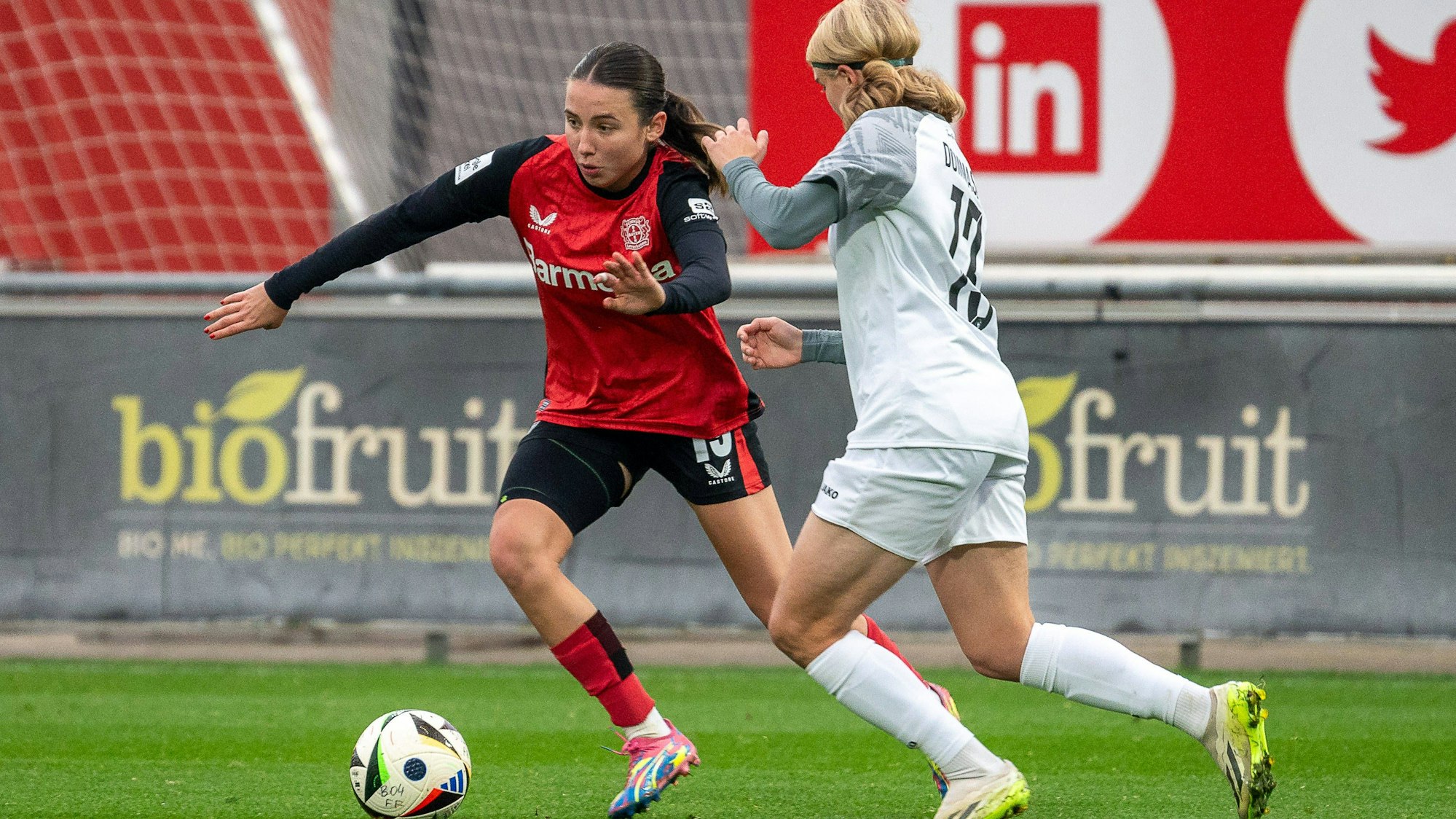 10.11.2024, Fussball: Google Pixel Frauen-Bundesliga, Saison 2024/2025, 09. Spieltag, Bayer 04 Leverkusen - 1. FFC Turbine Potsdam im Ulrich-Haberland-Stadion in Leverkusen. Zweikampf zwischen Loreen Bender Bayer 04 Leverkusen, 19 und Marike Dommasch 1. FFC Turbine Potsdam, 13. Wichtiger Hinweis: Gemaess den Vorgaben der DFL Deutsche Fussball Liga bzw. des DFB Deutscher Fussball-Bund ist es untersagt, in dem Stadion und/oder vom Spiel angefertigte Fotoaufnahmen in Form von Sequenzbildern und/oder videoaehnlichen Fotostrecken zu verwerten bzw. verwerten zu lassen. Foto: Kirchner-Media/TH *** 10 11 2024, Soccer Google Pixel Womens Bundesliga, Season 2024 2025, Matchday 09, Bayer 04 Leverkusen 1 FFC Turbine Potsdam at Ulrich Haberland Stadium in Leverkusen duel between Loreen Bender Bayer 04 Leverkusen, 19 and Marike Dommasch 1 FFC Turbine Potsdam, 13 Important note In accordance with the regulations of the DFL German Football League and the DFB German Football Association, it is prohibited to utilize or have utilized photographs taken in the stadium and / or of the match in the form of sequential images and / or video-like photo series Foto Kirchner Media TH Copyright: xKirchner-Media/THx