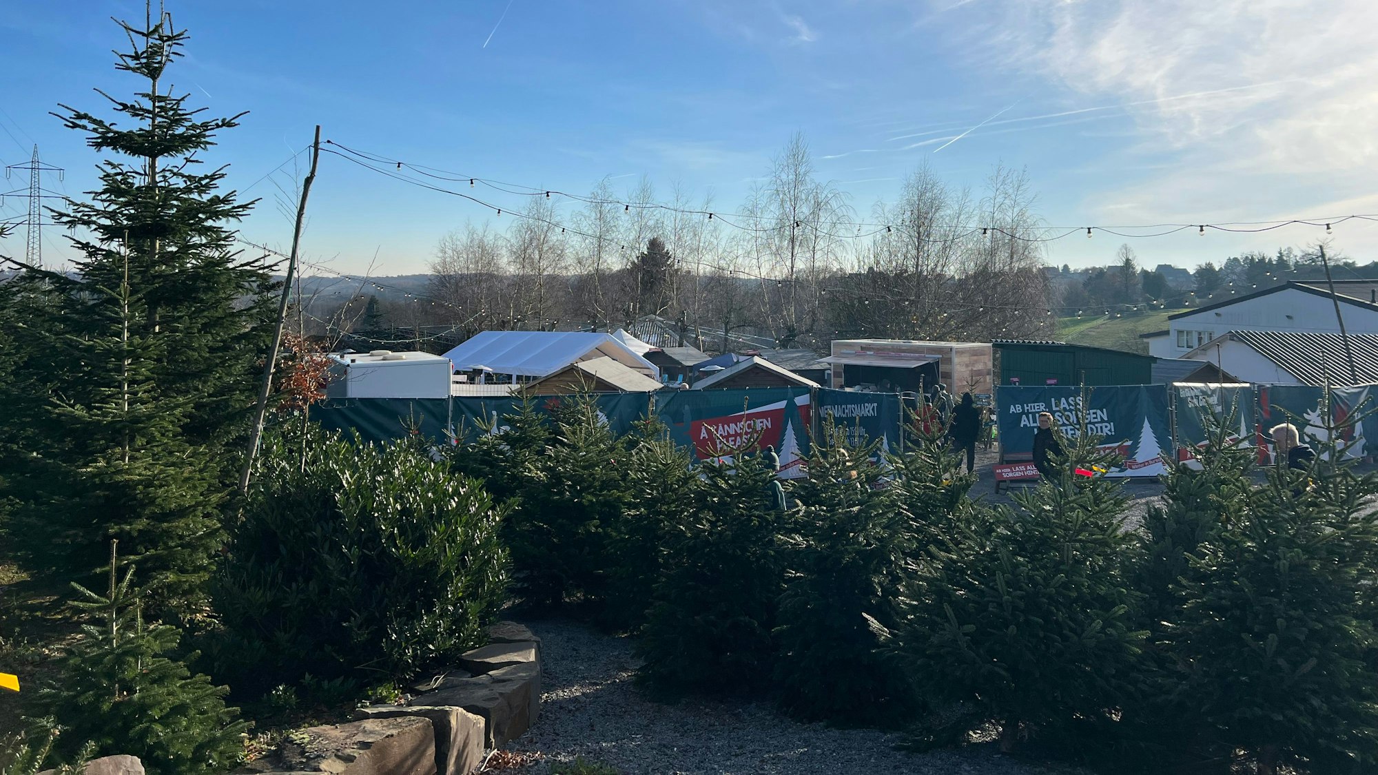 Tannenbäume stehen zwischen Buden.