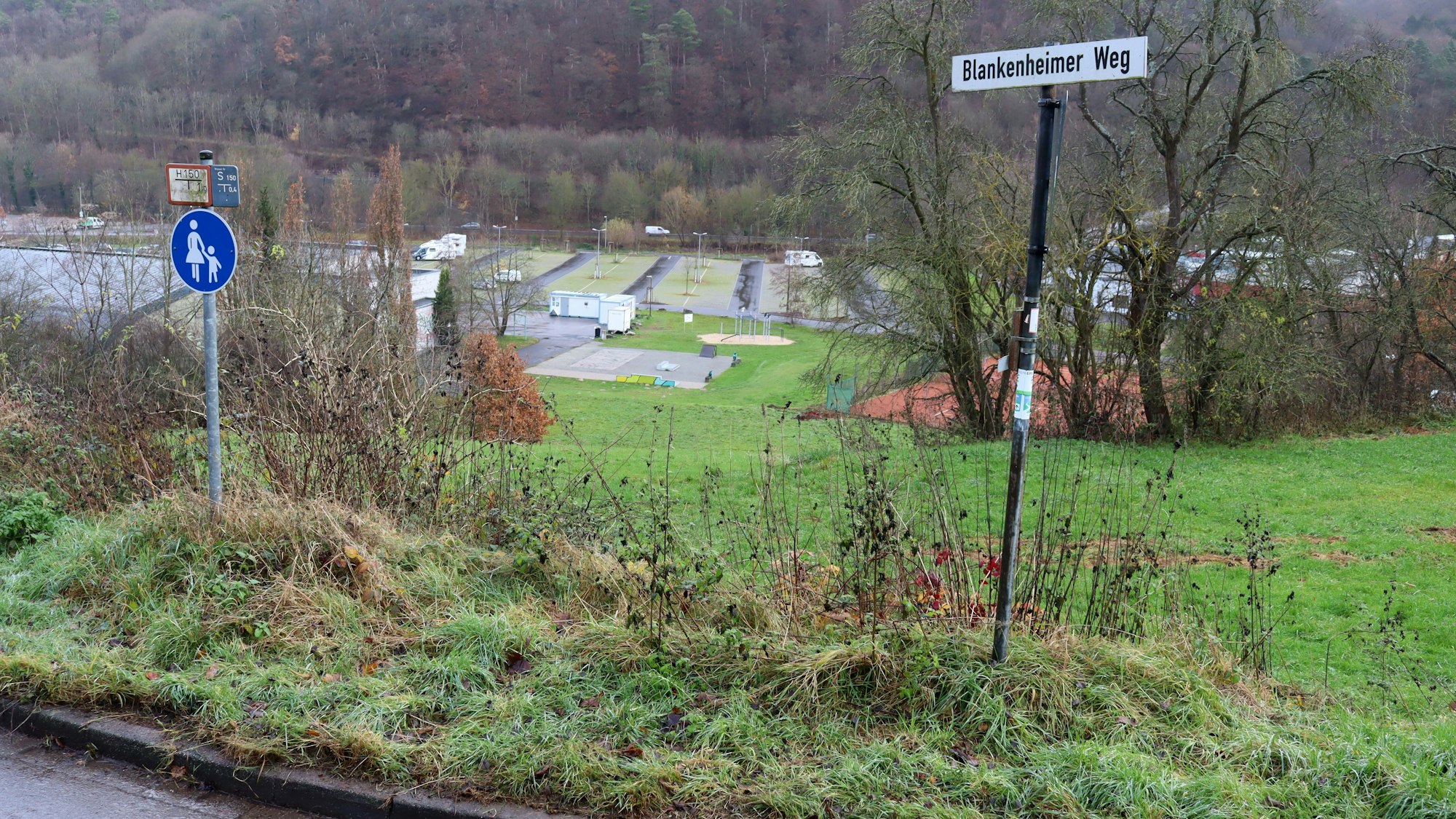 Ein Blick vom Blankenheimer Weg hinab auf den Parkplatz im Goldenen Tal: Im Hang soll die Grundschule errichtet werden.