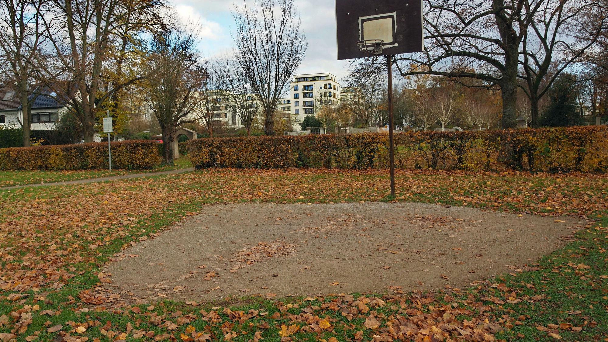 Blick auf ein mit Laub bedecktes Basketballfeld