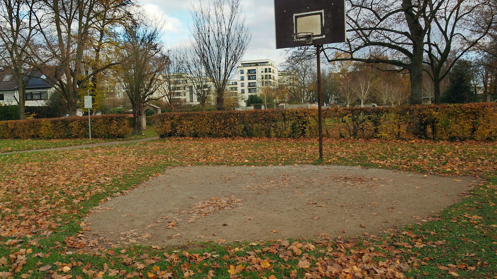 Blick auf ein mit Laub bedecktes Basketballfeld