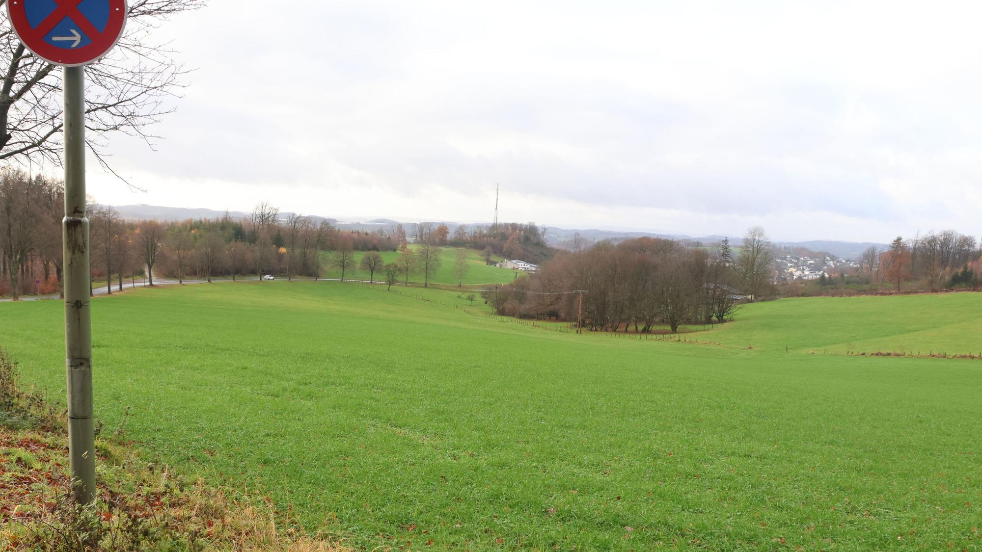 Das Bild zeigt einen Blick auf Eckenhagen. In der Mitte steht ein Wäldchen, rechts davon hätte Wohnbebauung zumindest langfristig ermöglicht werden sollen.