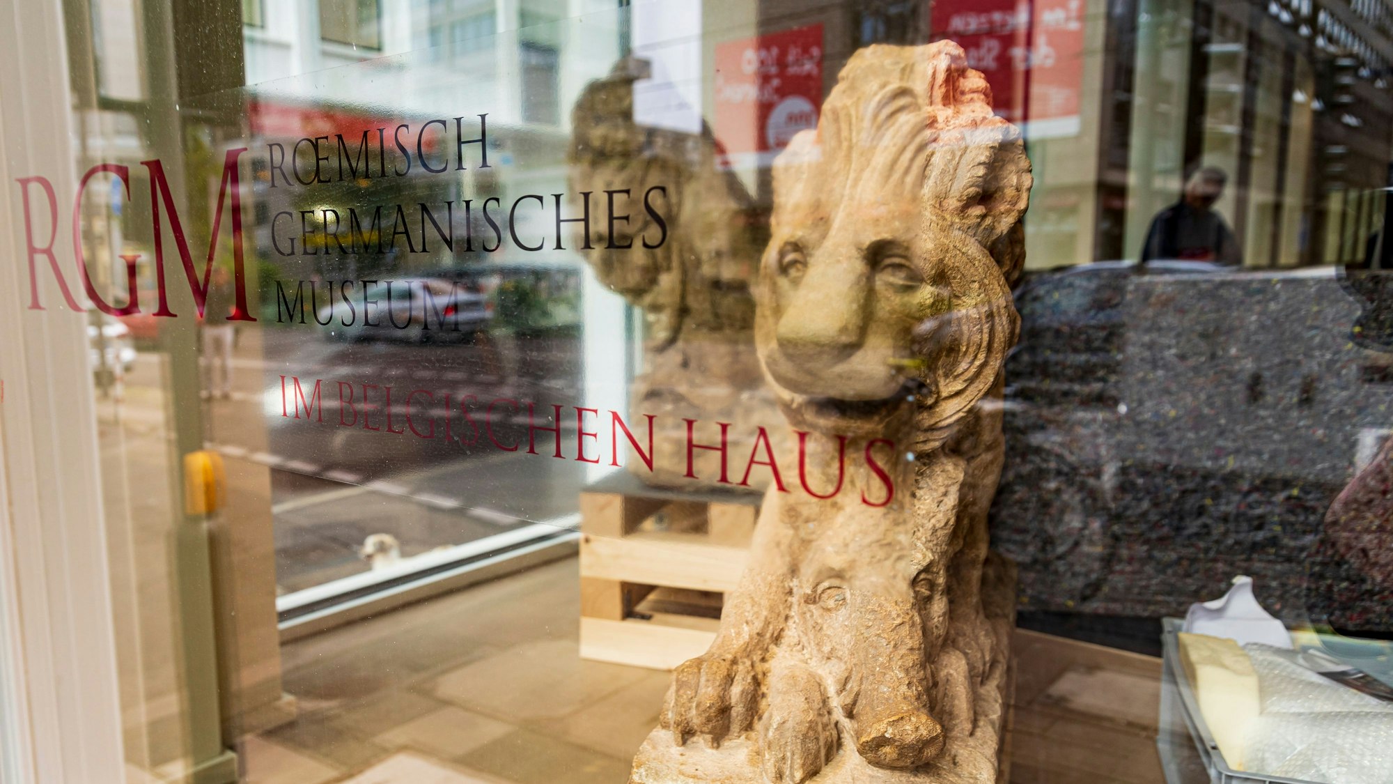 Blick ins Schaufenster des Römisch-Germanische Museums mit Steinlöwen