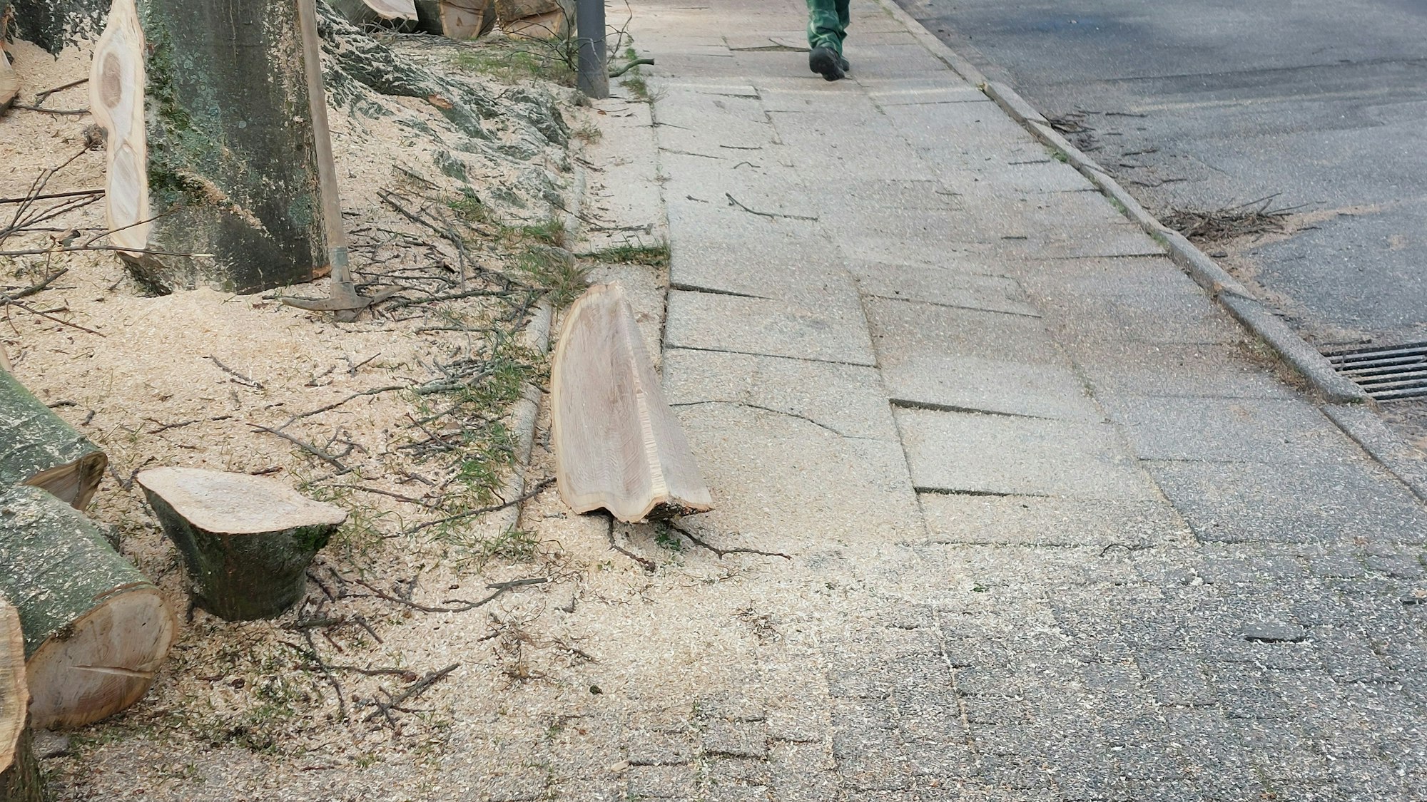 Ein Gehweg aus Betonplatten, die schräg liegen und teilweise auch aus der Fläche herausragen.