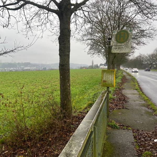 Auf einem Feld an der B 8 könnte ein Gewerbegebiet entstehen.