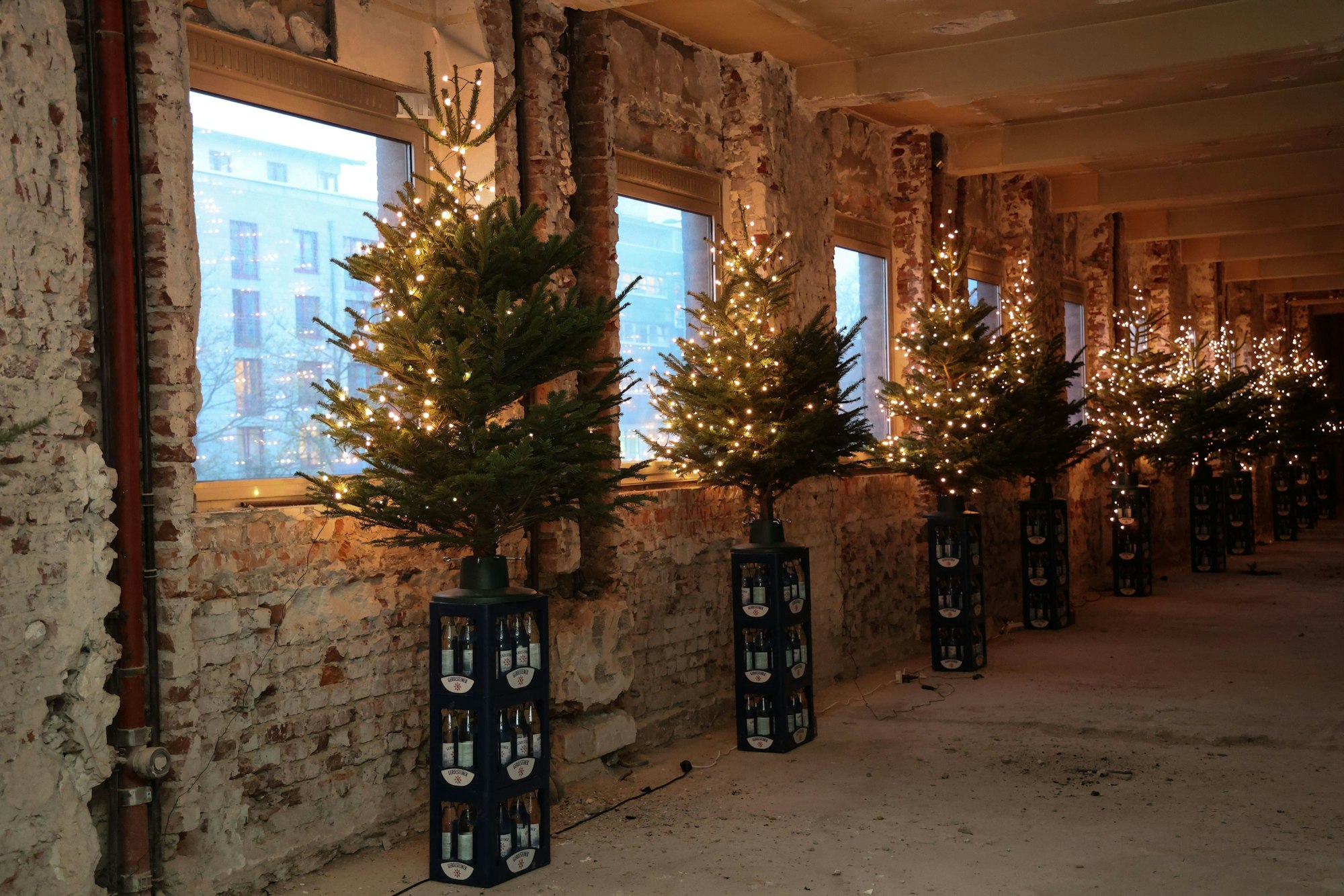 65 Weihnachtsbäume stehen in den Fenstern auf der Baustelle eines Gebäudes im Kuniberts-Viertel.