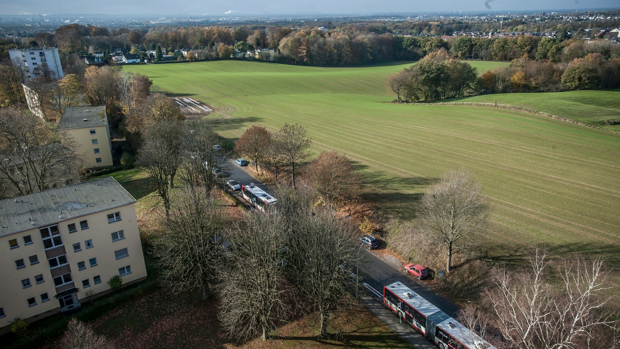 Das Feld rechts der Wilmersdorfer Straße gehört zu einem Grundstückspaket, das Bayer jetzt der Stadt zum Kauf angeboten hat.