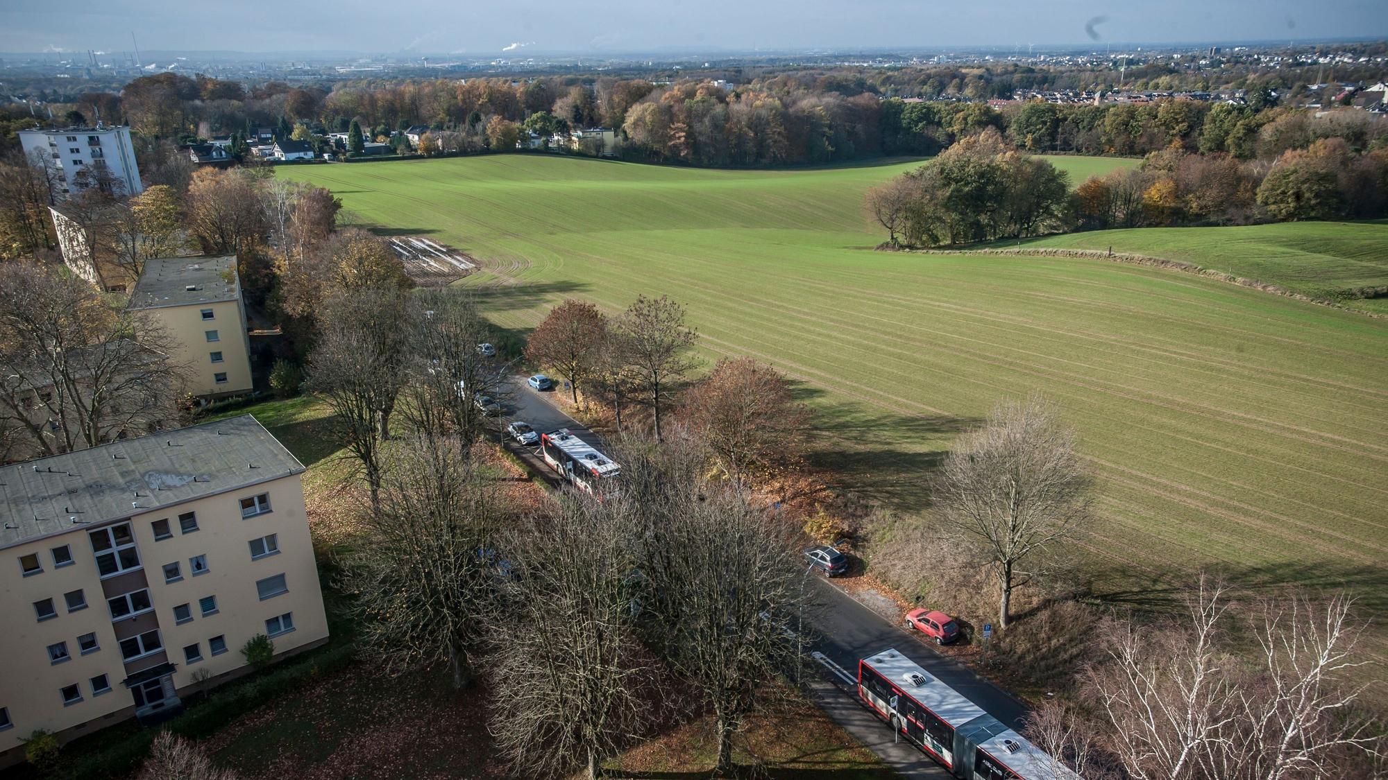 Feld an der Wilmersdorfer Straße, Kaltluftstrom- und Entstehungsgebiet, das laut allgemeiner Siedlungsraum werden soll. Foto: Ralf Krieger