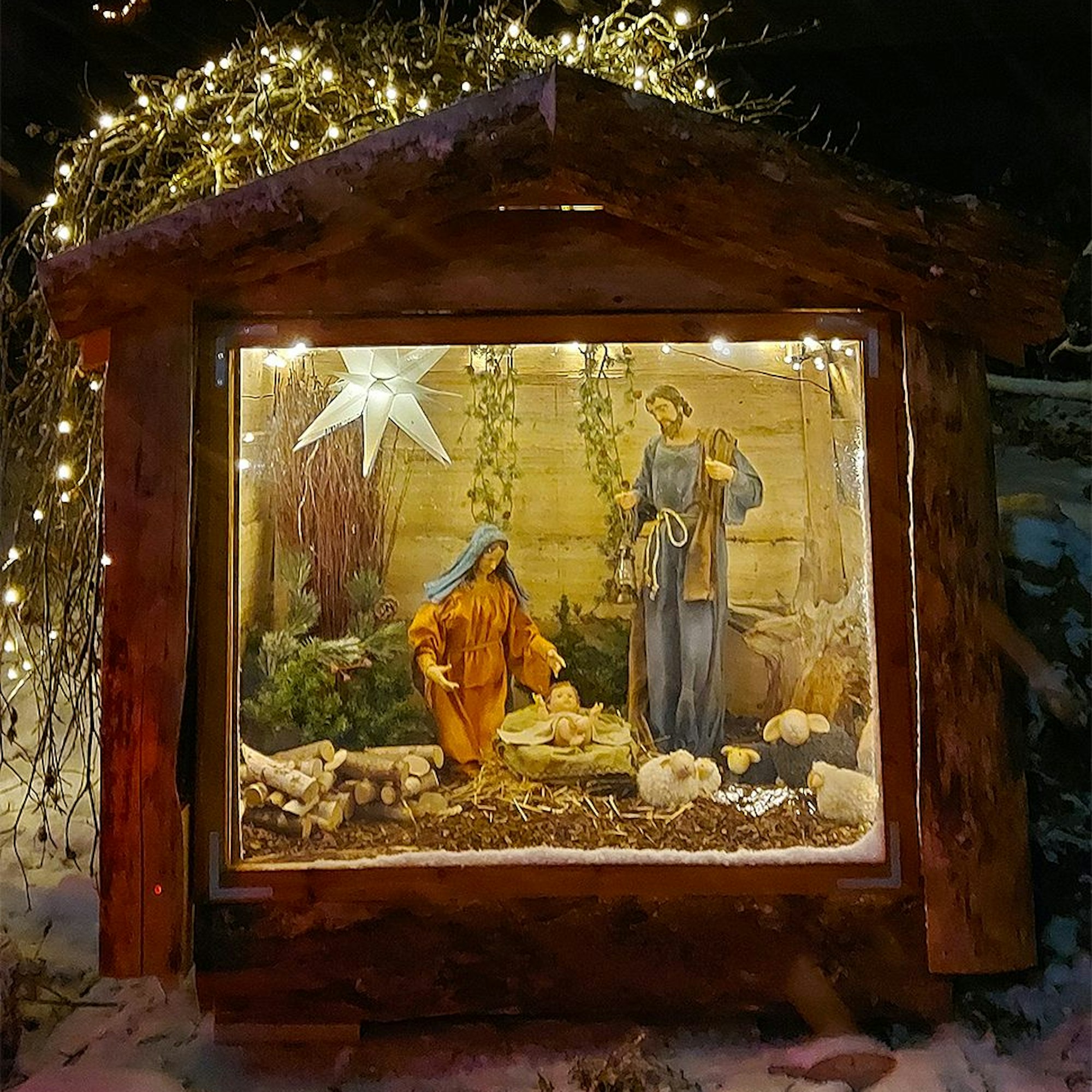 Das Bild zeigt eine eingeschneite Kiste in einem beleuchteten Schaukasten.