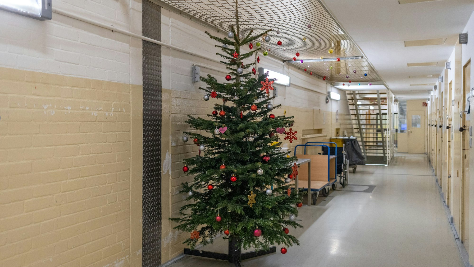 Ein geschmückter Weihnachtsbaum steht im Zellengang.
