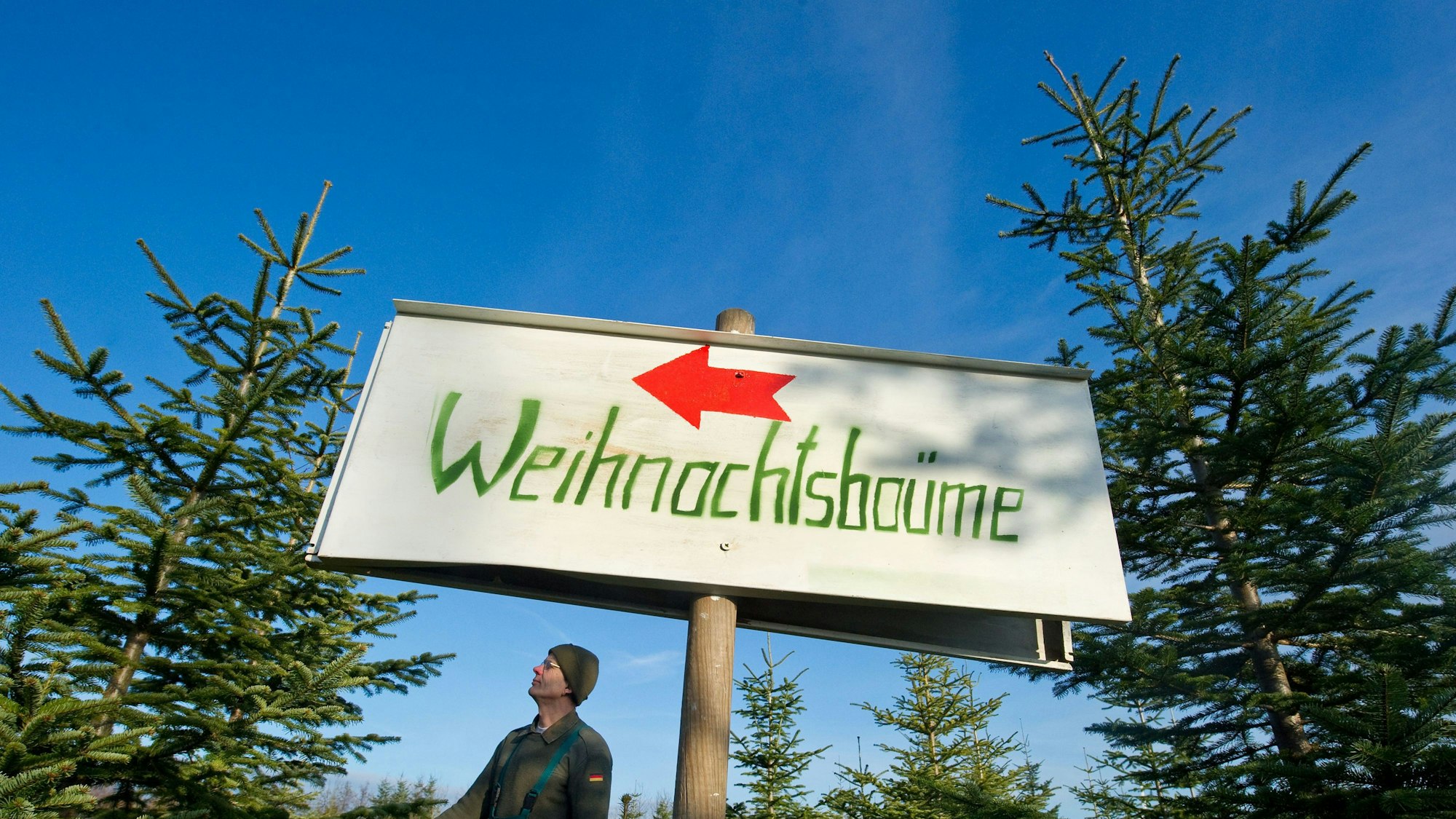 Ein Schild weist den Verkauf von Weihnachtsbäumen aus. Dahinter ragen Tannen in den Himmel.