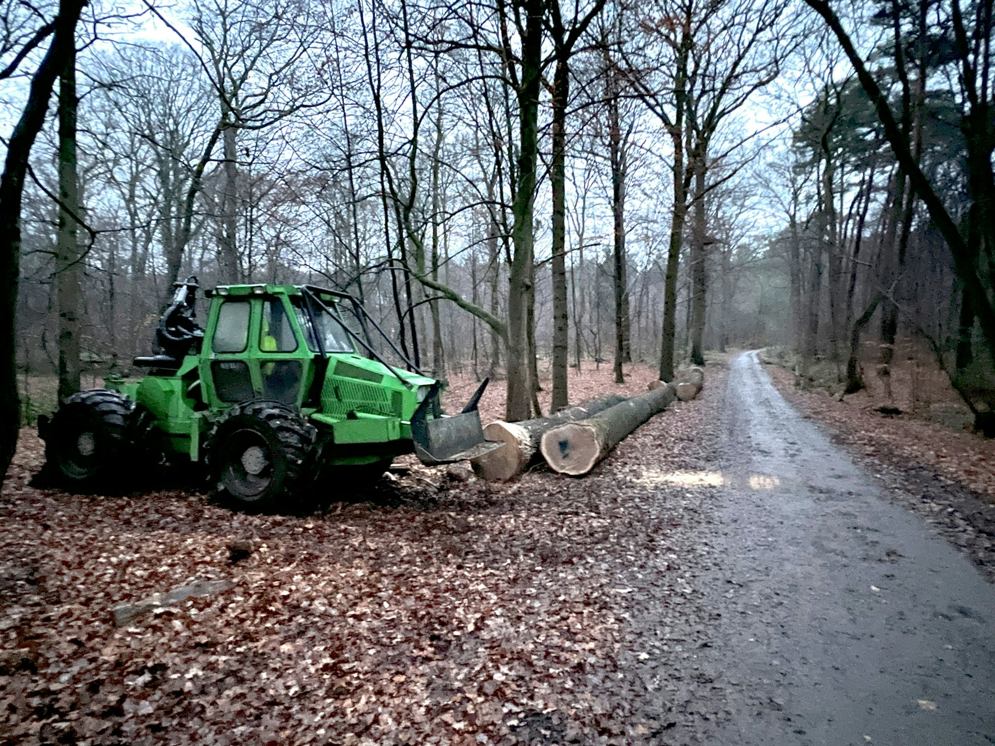 Die Rodungssaison imm Bürgerbusch hat wieder eingesetzt. Foto: Ralf Krieger