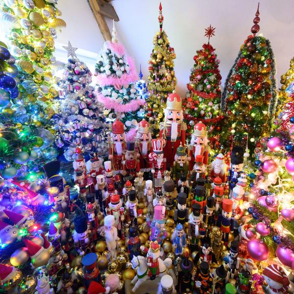 Weihnachtsbäume und Nussknacker stehen im Bild.