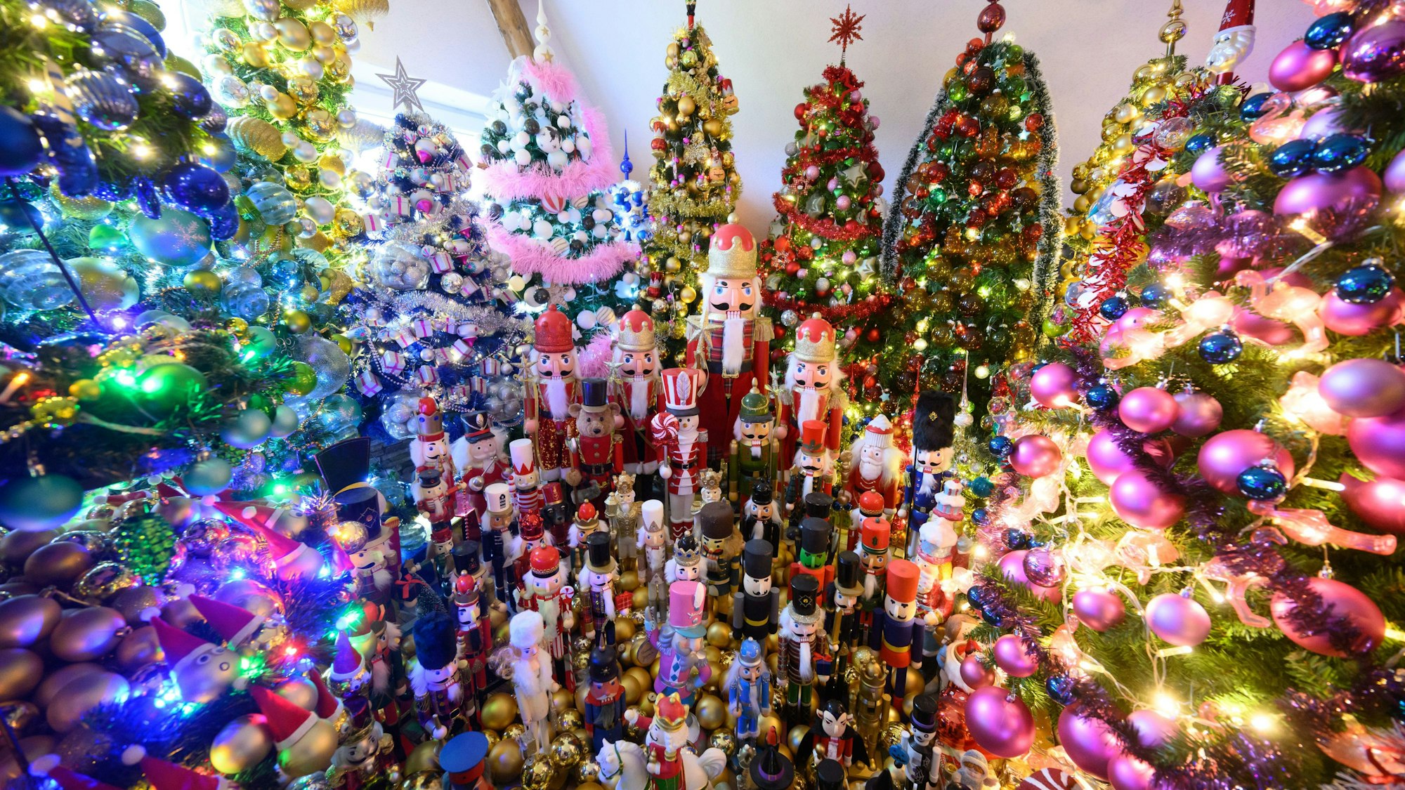 Weihnachtsbäume und Nussknacker stehen im Bild.