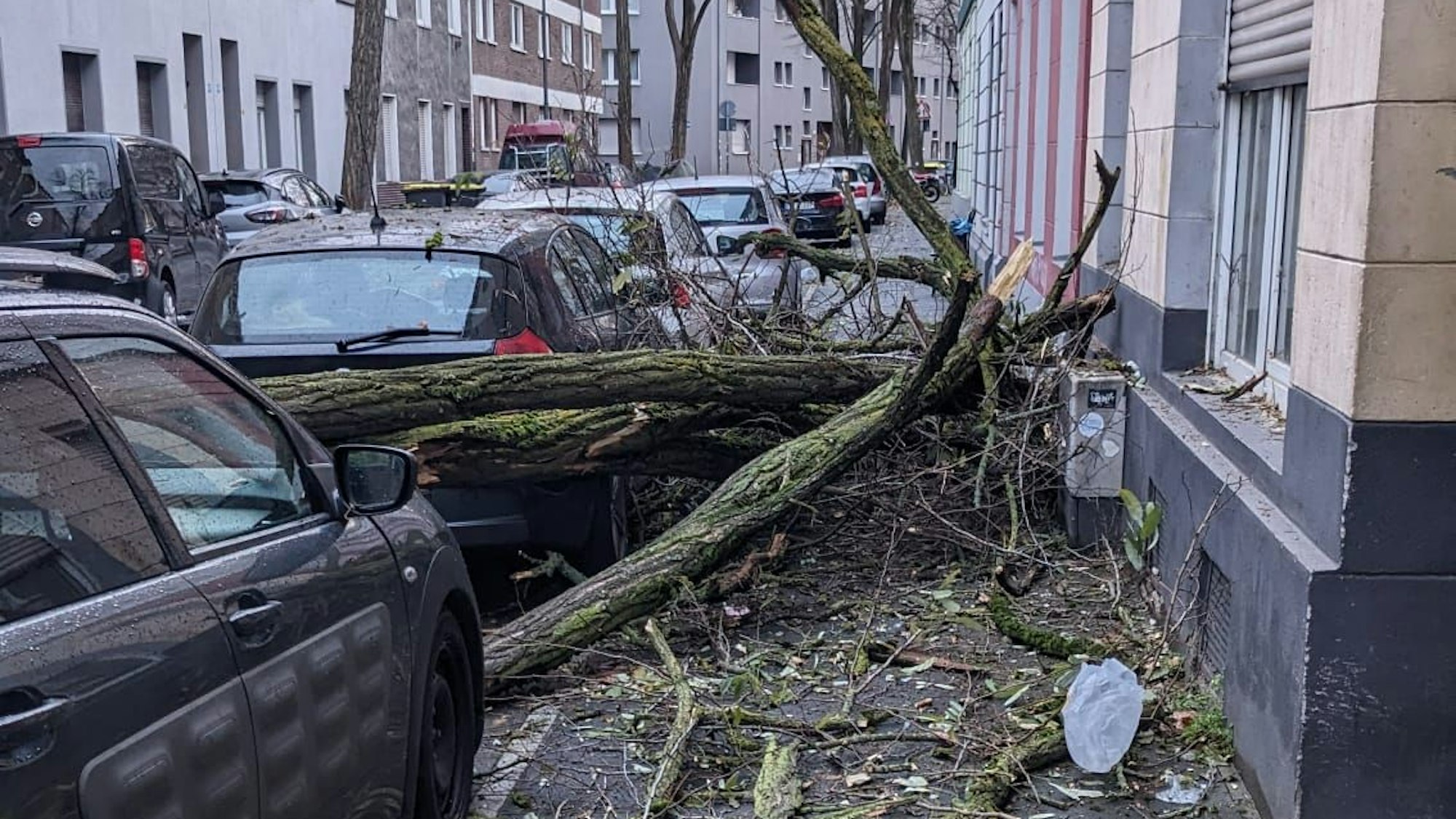 Zu sehen sind Reste eines Baumes, die zwischen mehreren geparkten Autos und auf einem Gehweg neben einem Wohnhaus liegen.