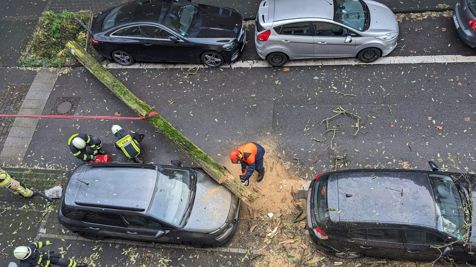 Blick auf eine Straße, auf der Feuerwehrleute einen umgestürzten Baum für den Abtransport zerkleinern. An den Straßenseiten stehen mehrere geparkte Autos.