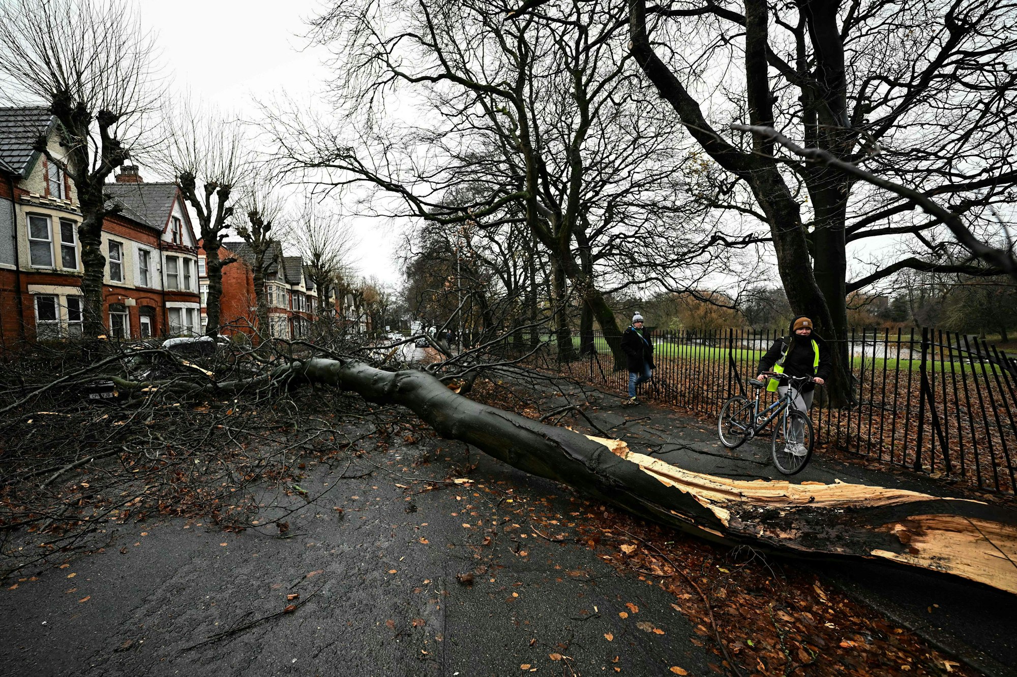 Pedestrians walk past a fallen tree blocking Greenbank road in Liverpool as storm Darragh brings winds of nearly 90 mph to the west of Wales and north-west England. The UK's Met Office had issued a rare red alert for high winds overnight to Saturday morning (0300 to 1100 GMT) covering parts of Wales and southwest England. Tens of thousands of people across the UK were left without power on Saturday morning after Storm Darragh hit the country with strong winds and caused pre-Christmas travel disruption. (Photo by Paul ELLIS / AFP)