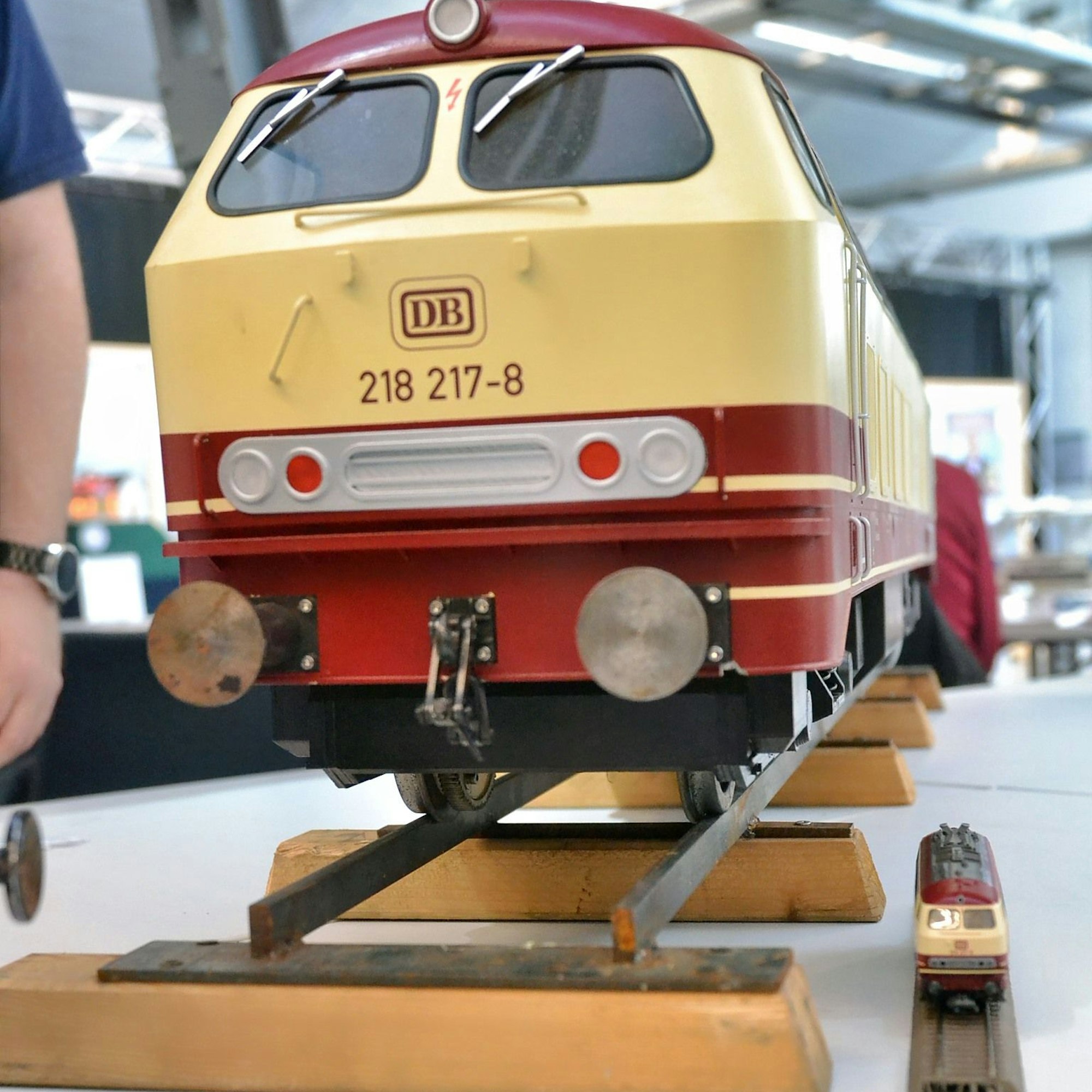 Ein großer Modellzug steht neben einem kleinen.