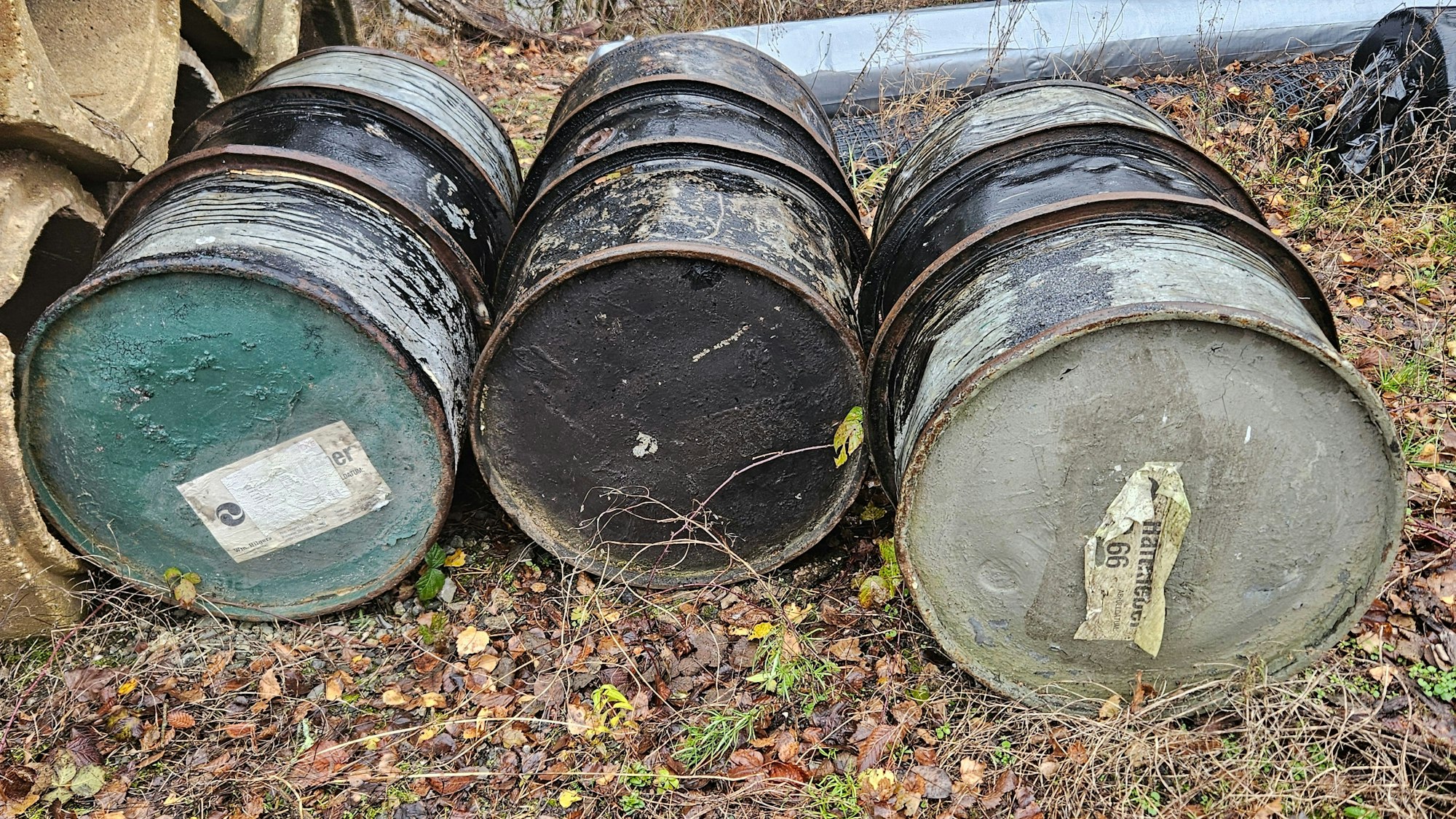 Drei alte Fässer liegen auf laubbedecktem Boden.