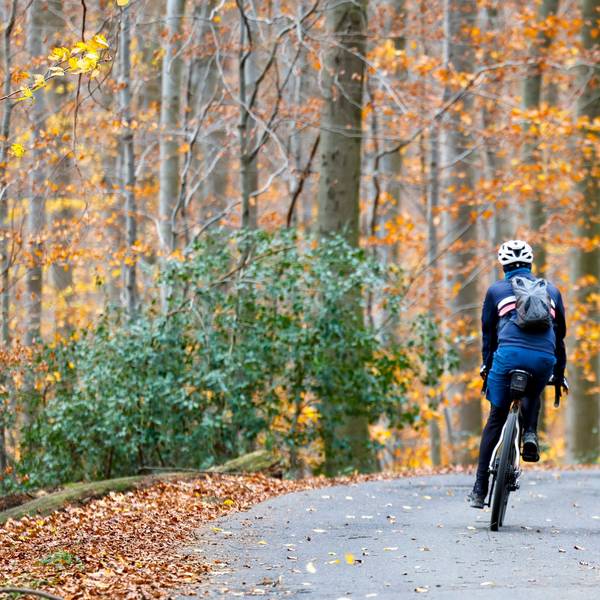Ein Fahrradfahrer auf asphaltierter Straße im Wald.