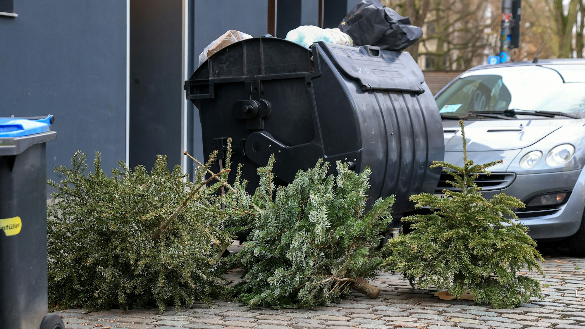 Das Foto zeigt alte Weihnachtsbäume neben einer Mülltonne.
