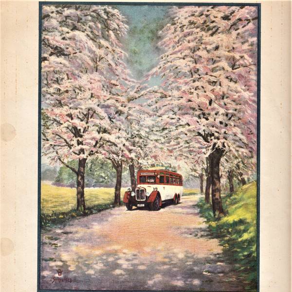 Das Bild aus dem Jahr 1929 zeigt einen rot-weiß-lackierten Wupsi-Bus auf einer blühenden Allee.