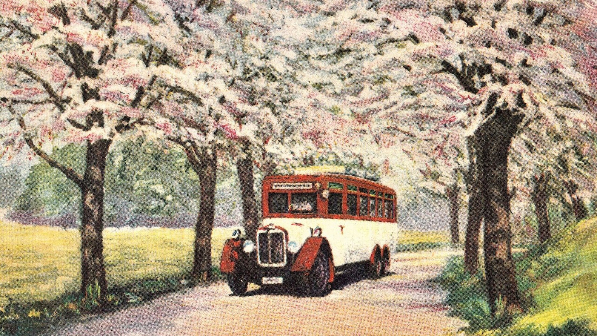 Das Bild aus dem Jahr 1929 zeigt einen rot-weiß-lackierten Wupsi-Bus auf einer blühenden Allee.