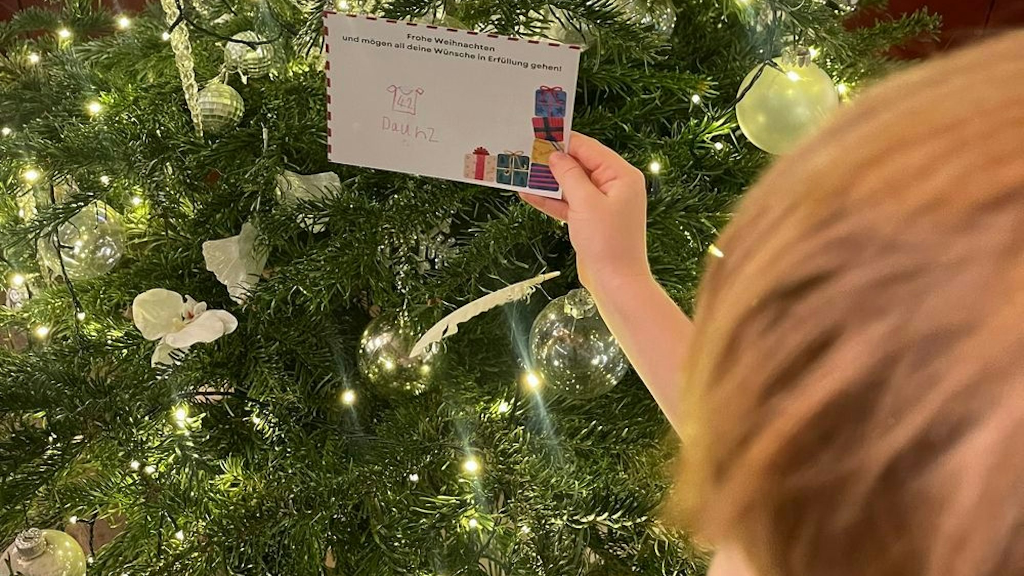 Ein Kind steht vor einem Tannenbaum und nimmt einen Wunschzettel ab, der daran gehängt ist.