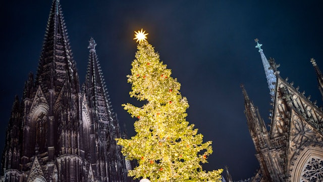 Ein Weihnachtsbaum erstrahlt auf dem Weihnachtsmarkt am Kölner Dom. +++ dpa-Bildfunk +++