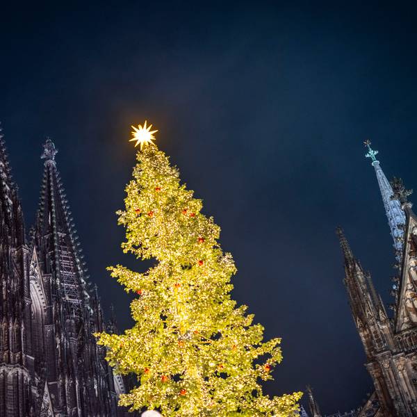 Ein Weihnachtsbaum erstrahlt auf dem Weihnachtsmarkt am Kölner Dom. +++ dpa-Bildfunk +++