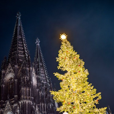 Ein Weihnachtsbaum erstrahlt auf dem Weihnachtsmarkt am Kölner Dom. +++ dpa-Bildfunk +++