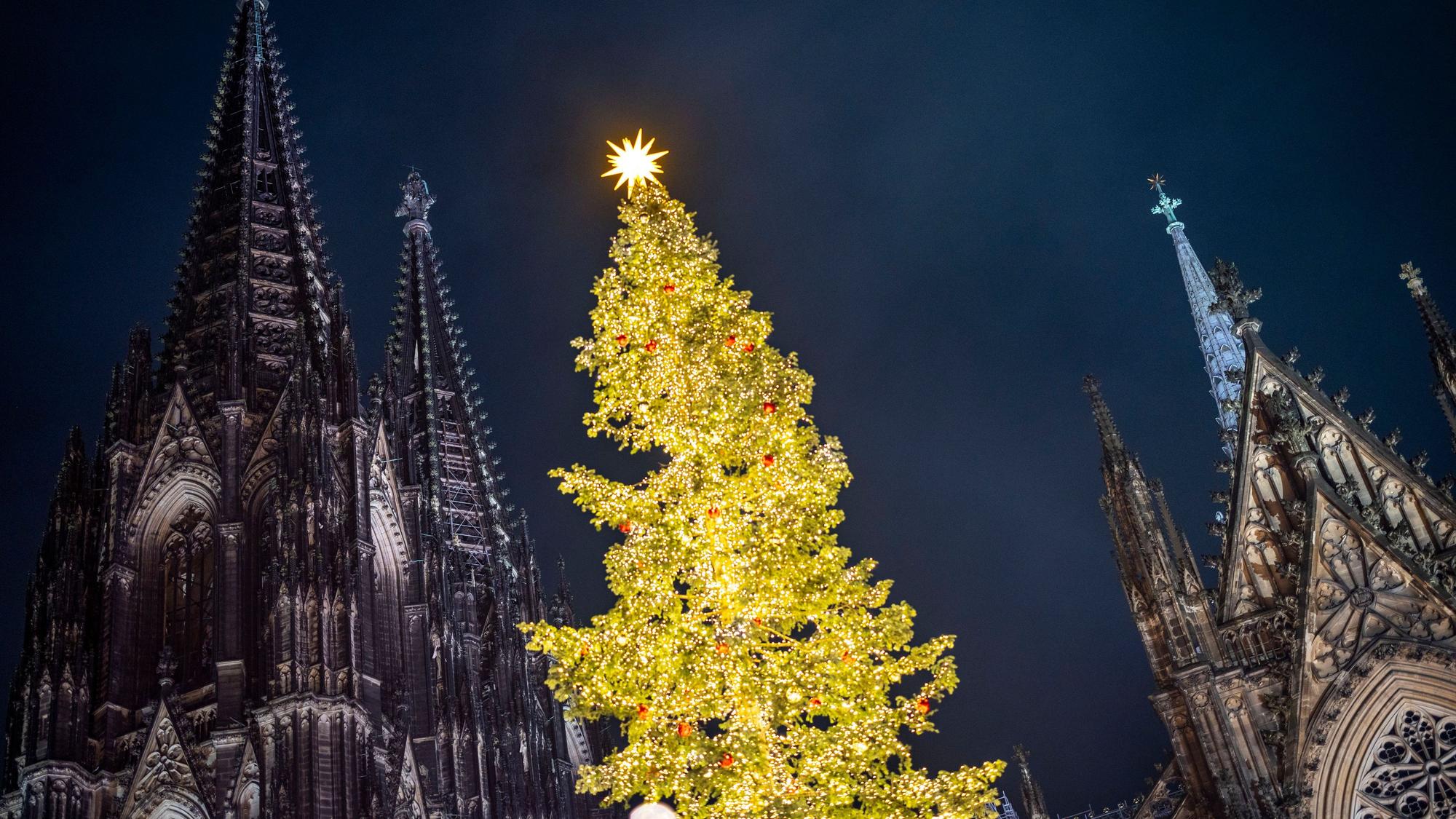 Ein Weihnachtsbaum erstrahlt auf dem Weihnachtsmarkt am Kölner Dom. +++ dpa-Bildfunk +++