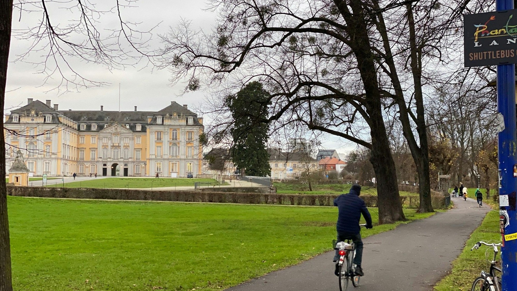 Zu sehen sind einige alte Bäume und im Hintergrund das Brühler Schloss Augustusburg.