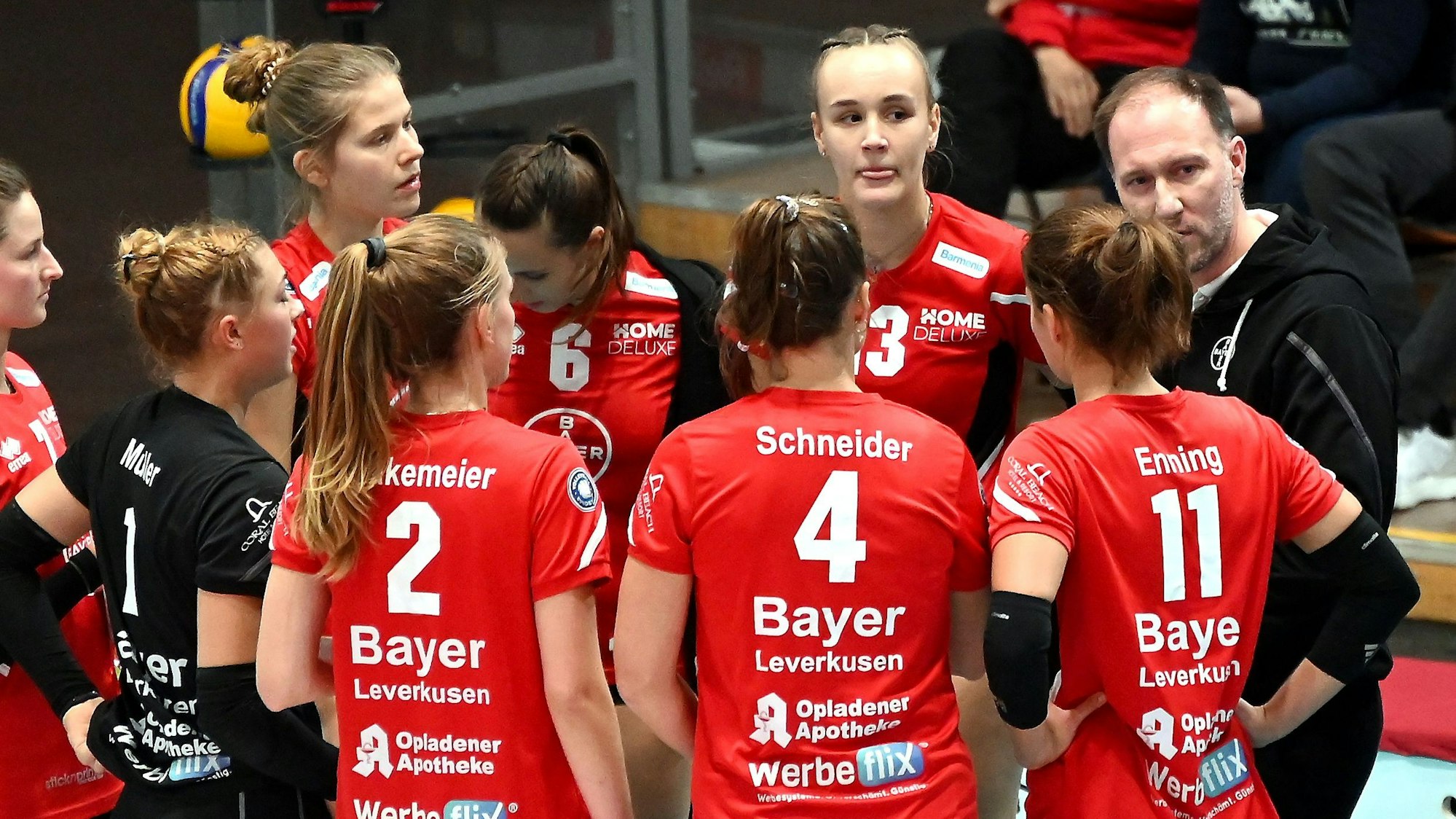 23.11.2024, Volleyball-Bayer leverkusen-VCO Dresden
TR: Dirk Sauermann (Bayer)
Foto: Uli Herhaus