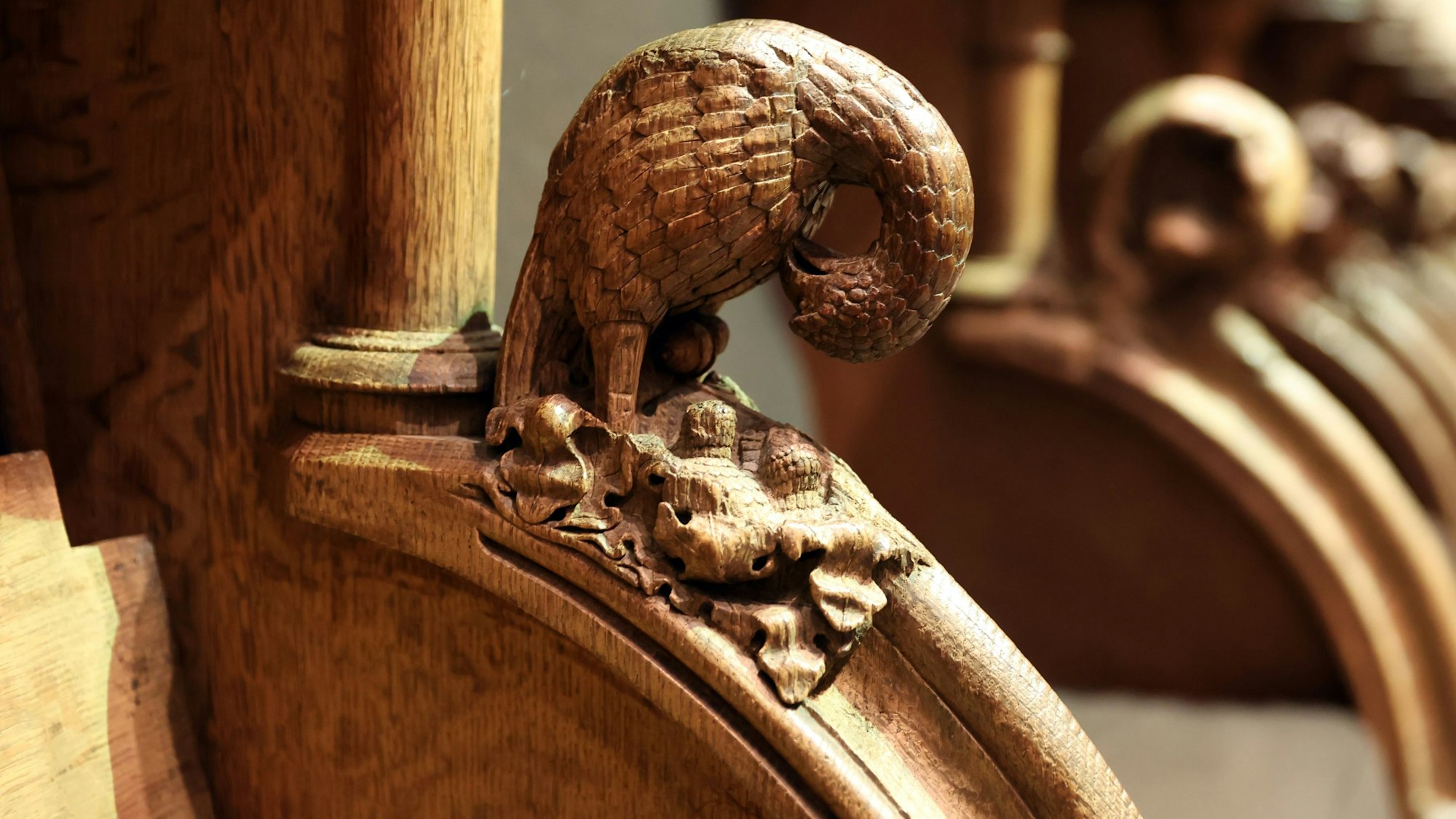 Darstellung eines Pelikans am mittelalterlichen Chorgestühl des Kölner Doms