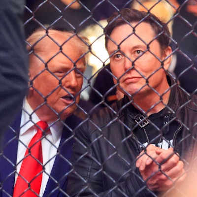 Donald Trump (l.) und Elon Musk beim einem UFC-Event.