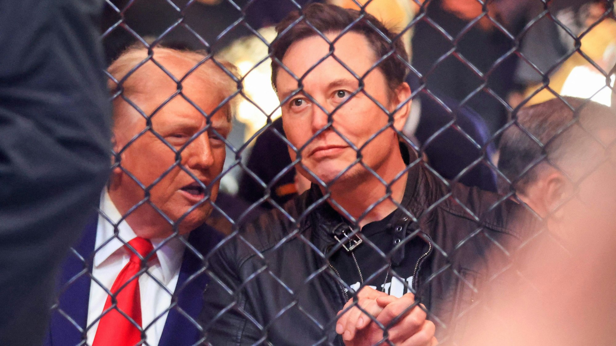Donald Trump (l.) und Elon Musk beim einem UFC-Event.