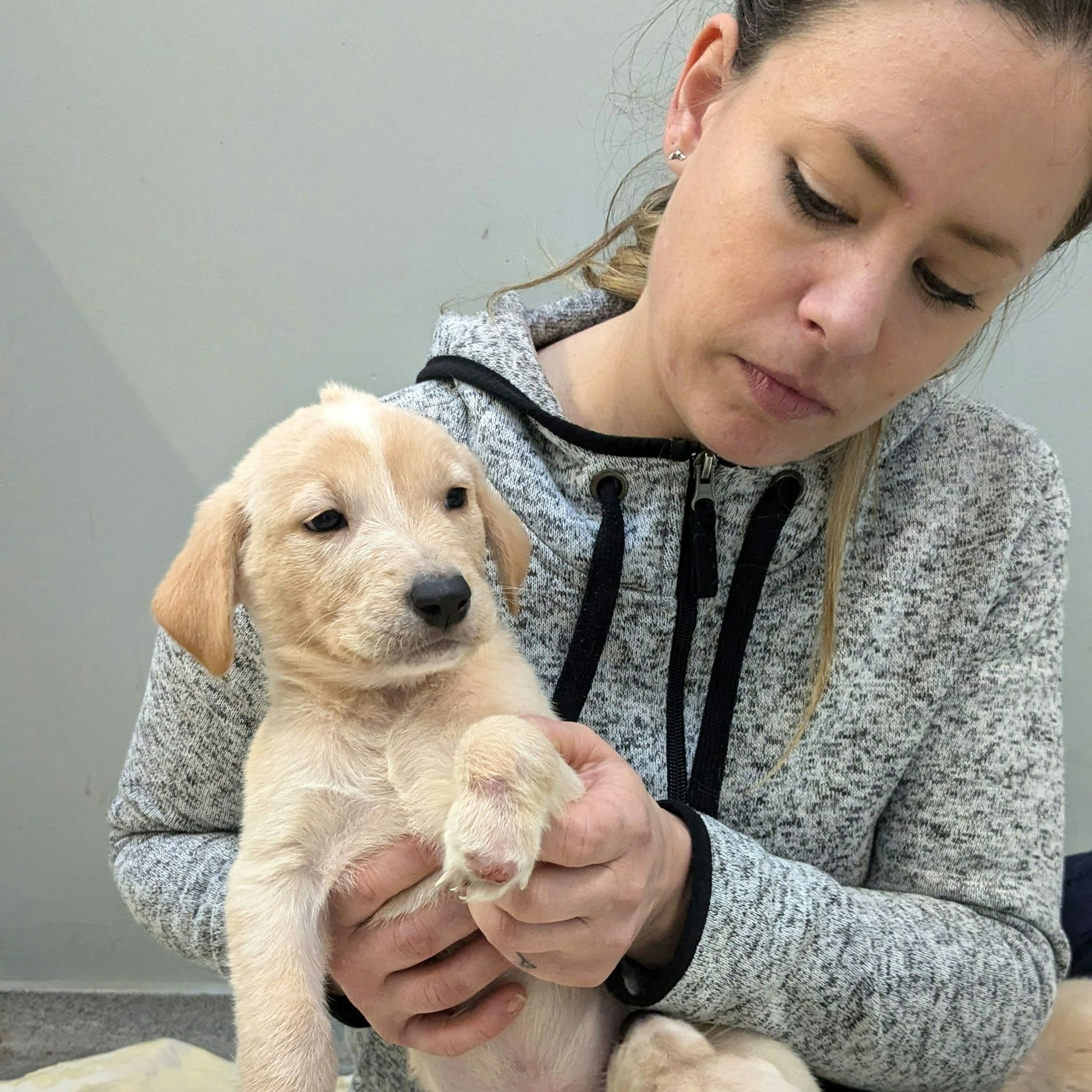 Jana Goebel hält eines der Welpen auf den Händen.