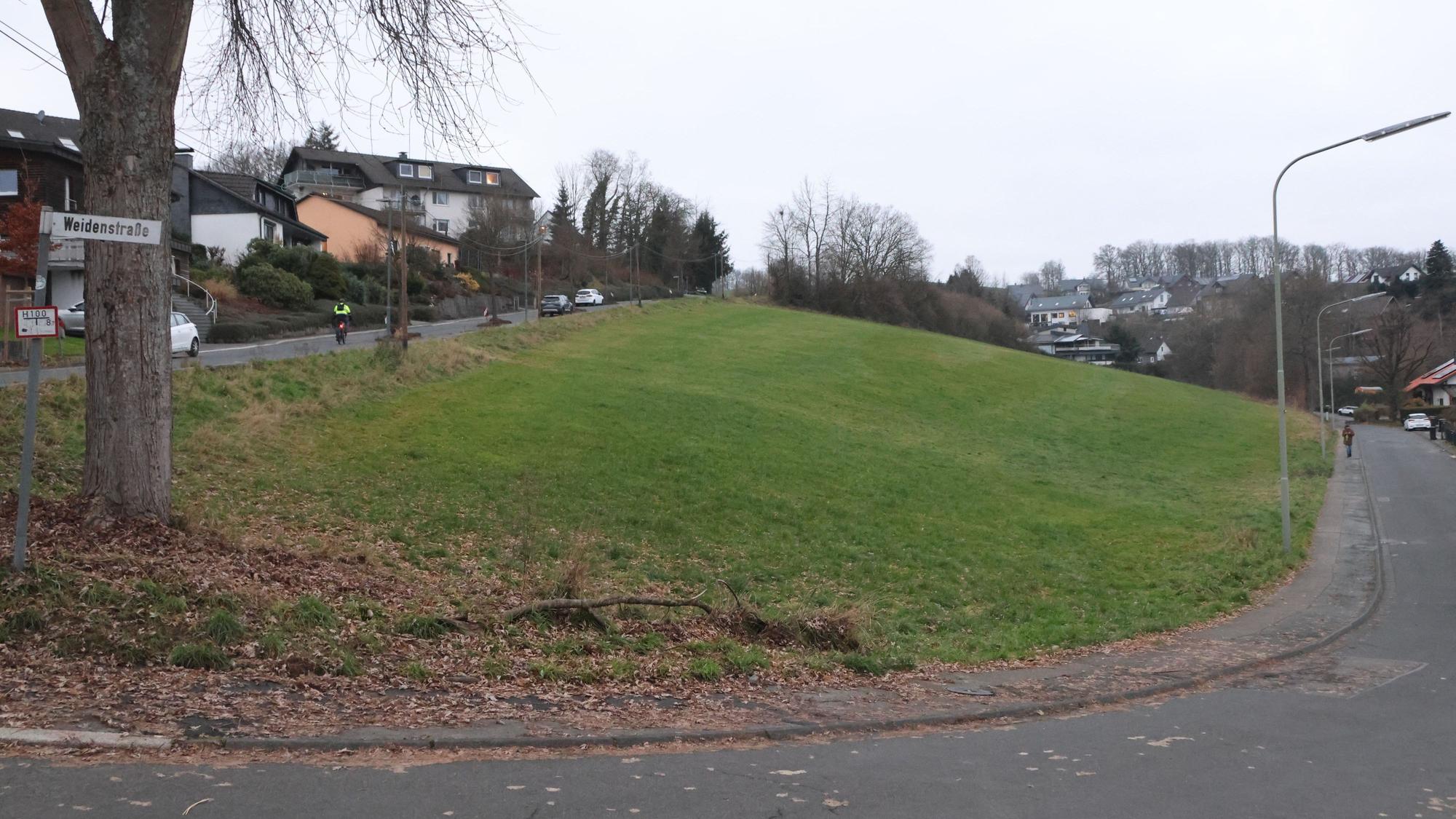 Blick auf eine Wiese oberhalb der Ortsmitte.