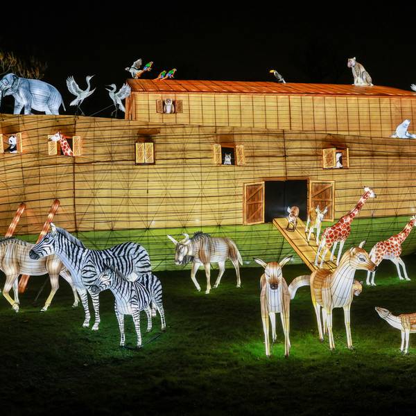 Das Foto zeigt eine Lichtinstallation des China Light Festivals.