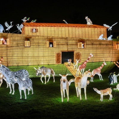 Beim China Lights Festival im Kölner Zoo erstrahlt das Gelände mit illuminierten Tieren und Gestalten in hellem Lichterglanz. Hier sind Tiere auf und vor der Arche Noah gezeigt. (Archivbild 2024)