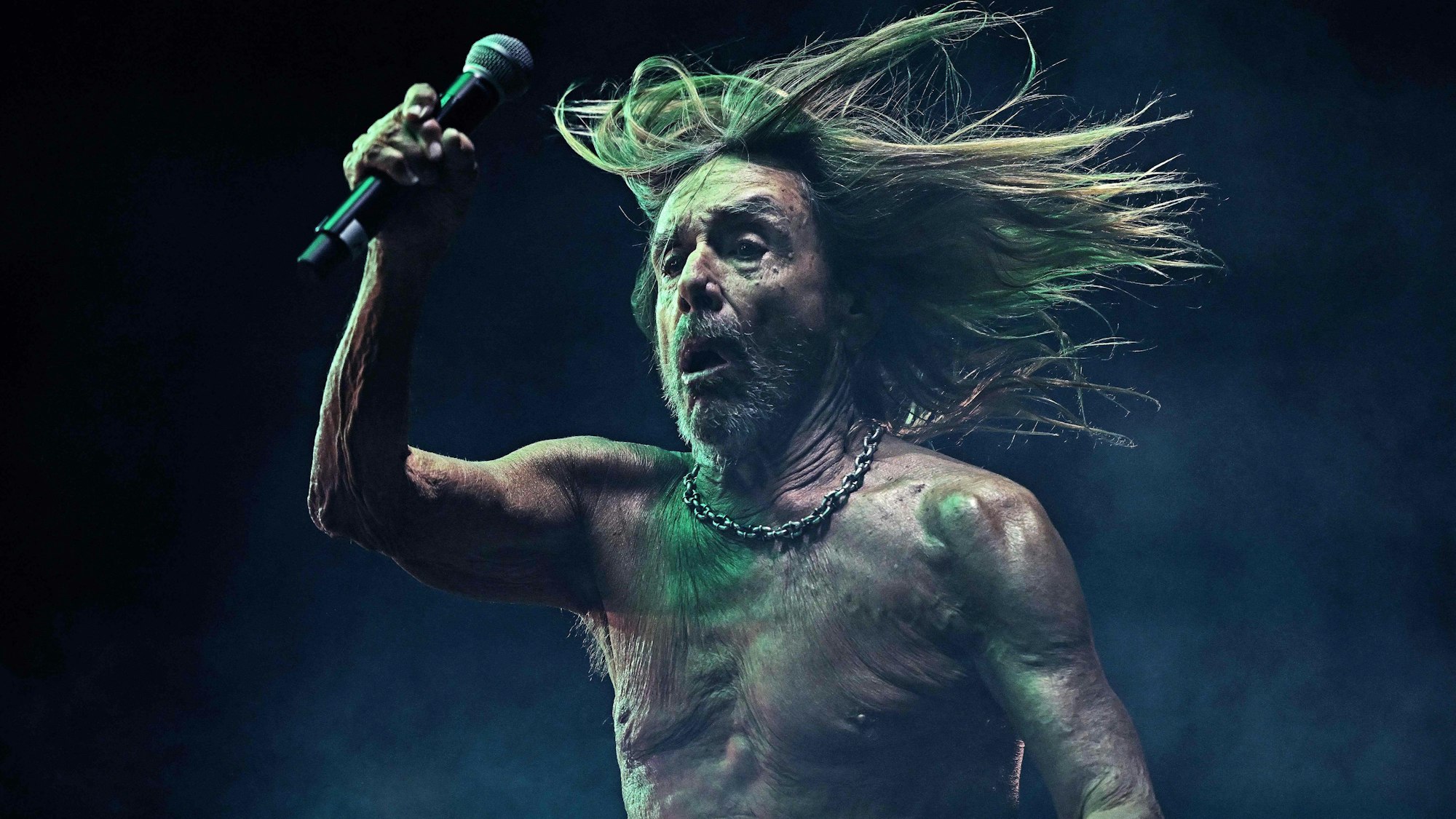 Iggy Pop hält ein Mikrofon in der Hand und bewegt sich.
