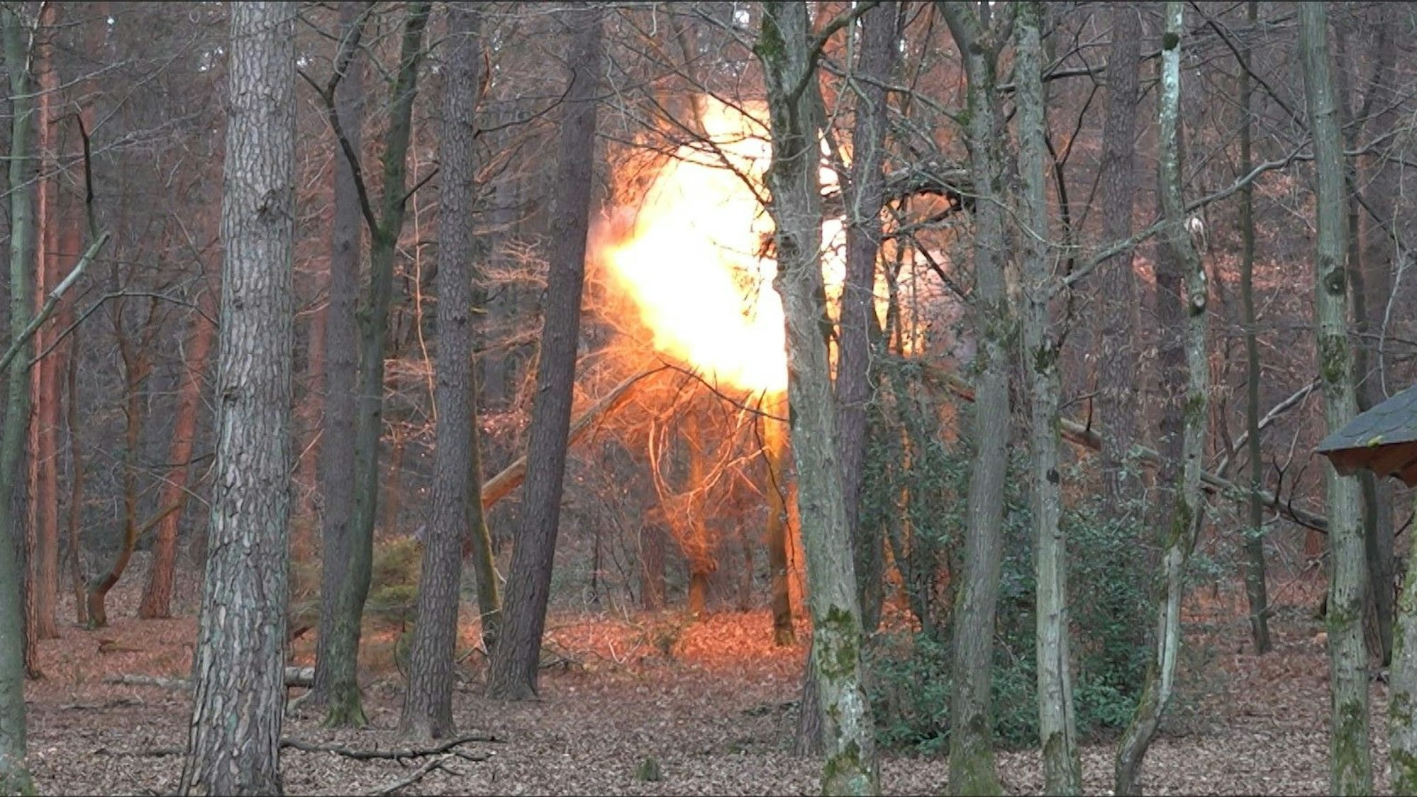 Ein großer Feuerball ist in einem Wald zu sehen.