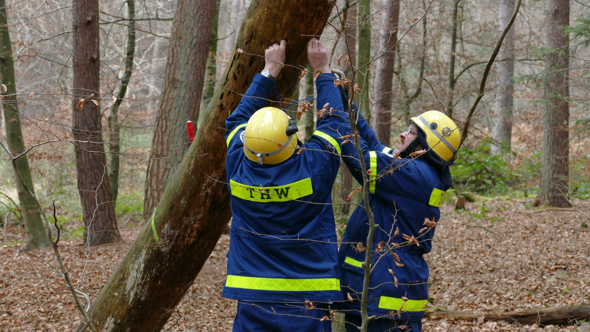 Zwei Männer befestigen Sprengstoff an einem Baum.