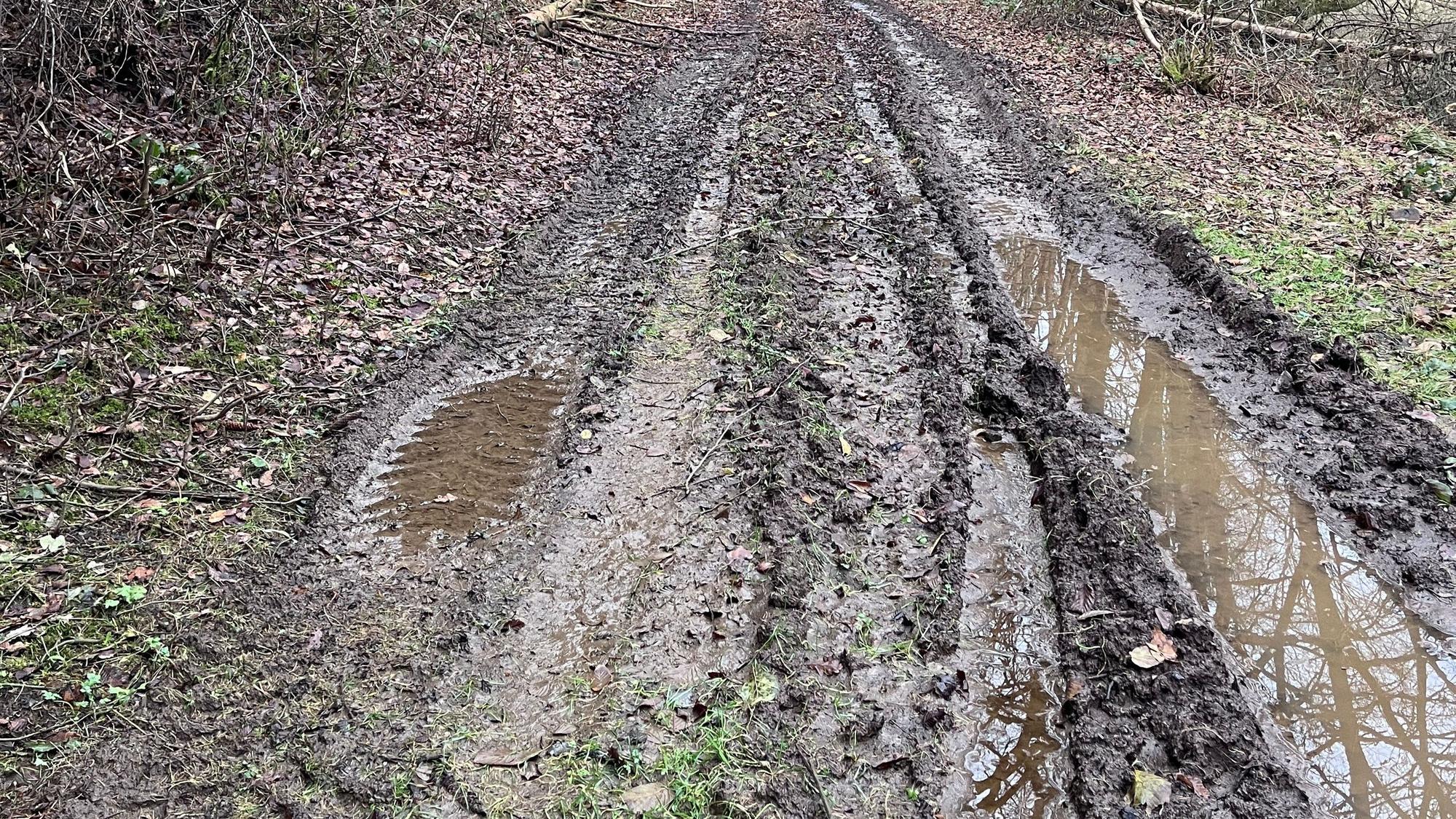 So wie dieser Weg sehen viele Wald- und Forstwirtschaftswege auf dem Gebiet der Stadt Waldbröl noch aus. Jetzt werden sie aber neu angelegt.